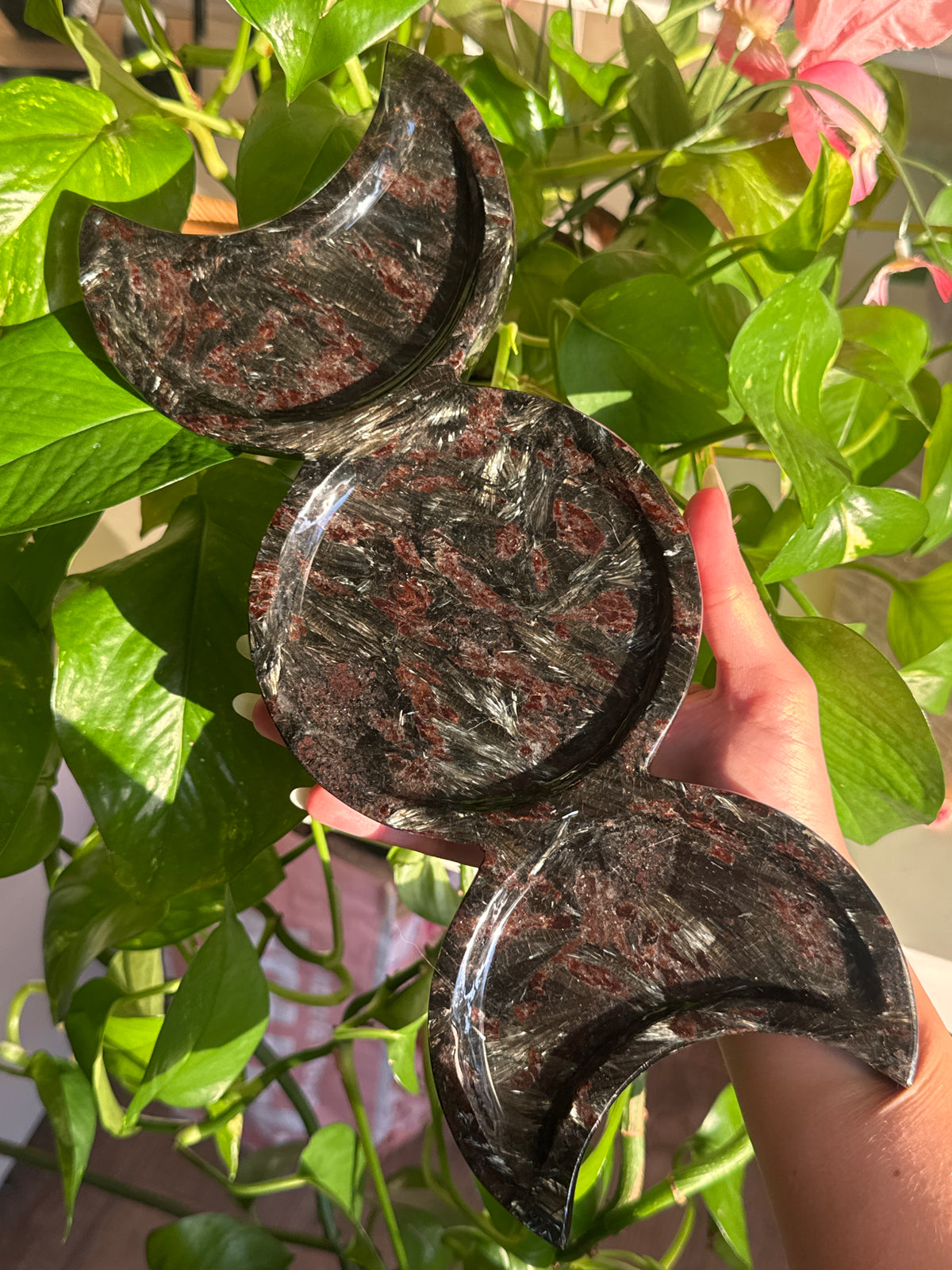 Triple Moon Garnet in Black Tourmaline Dish