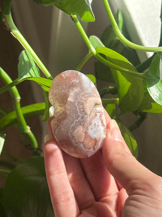 Pretty Druzy Flower Agate Palmstone