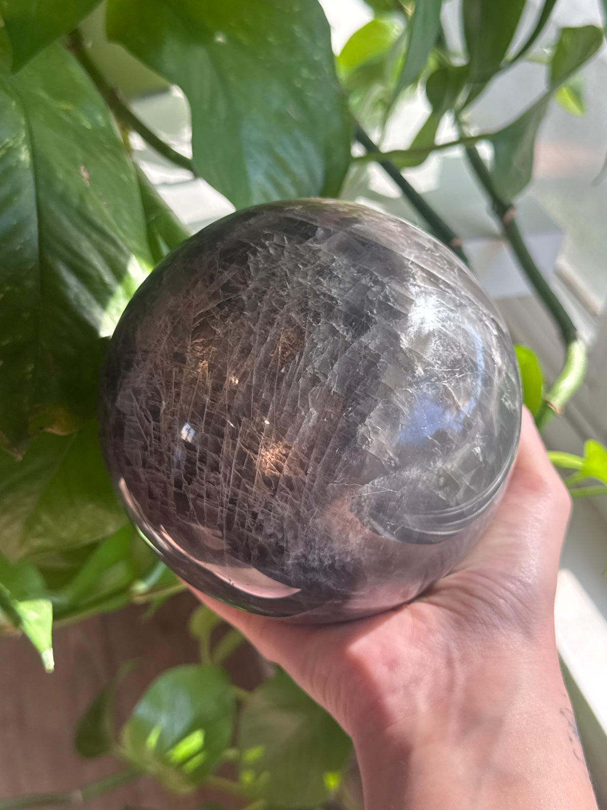 Statement SUPER Flashy Black Moonstone Sphere with Dual Flash