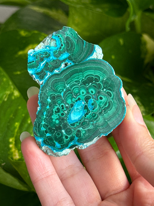 Malachite & Chrysocolla Slab C