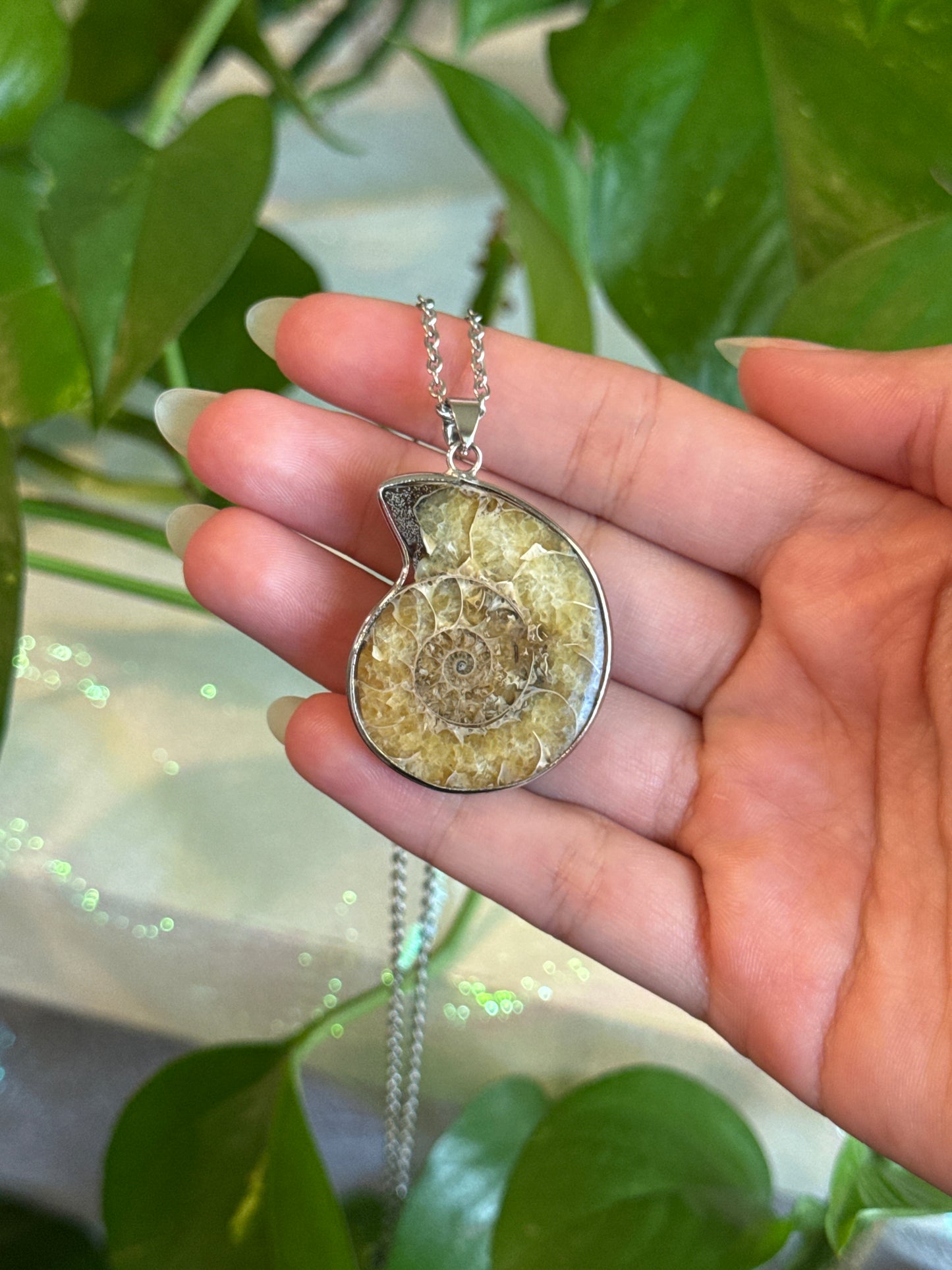 Ammonite Specimen Necklace