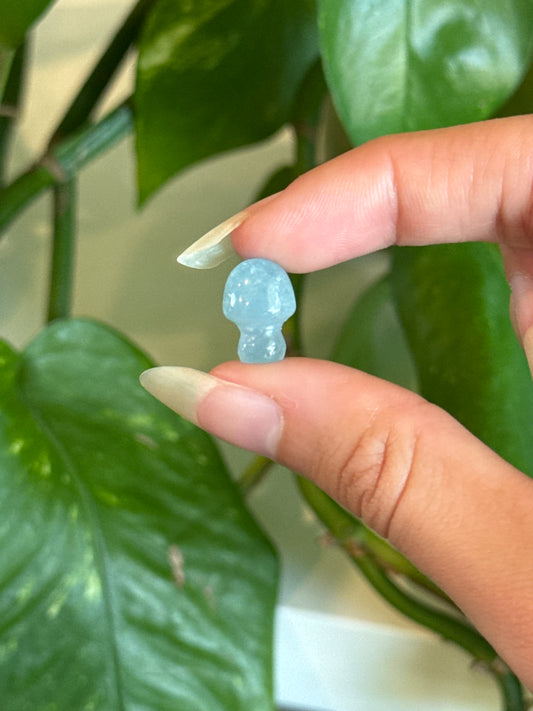 Aquamarine Mushroom