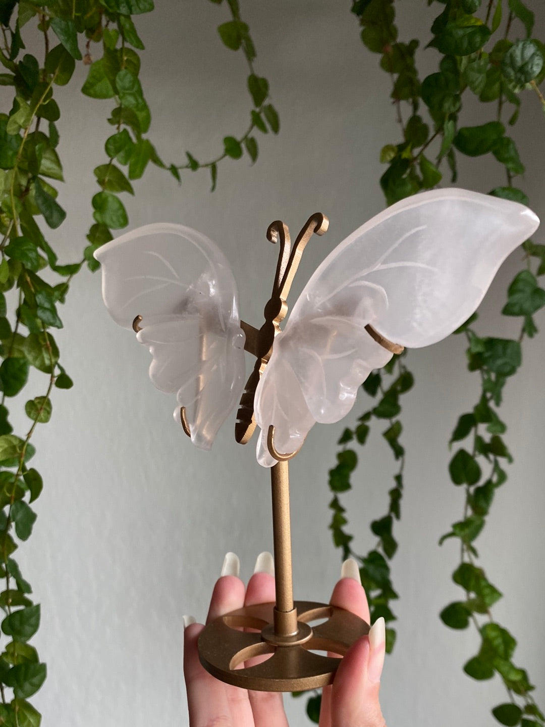 Girasol Rose Quartz Butterfly