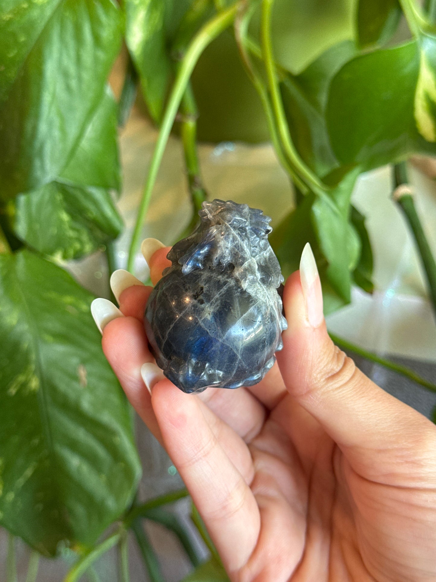 Small Money Dragon Labradorite Deep Cobalt Blue Flash for Attracting Wealth & Abundance