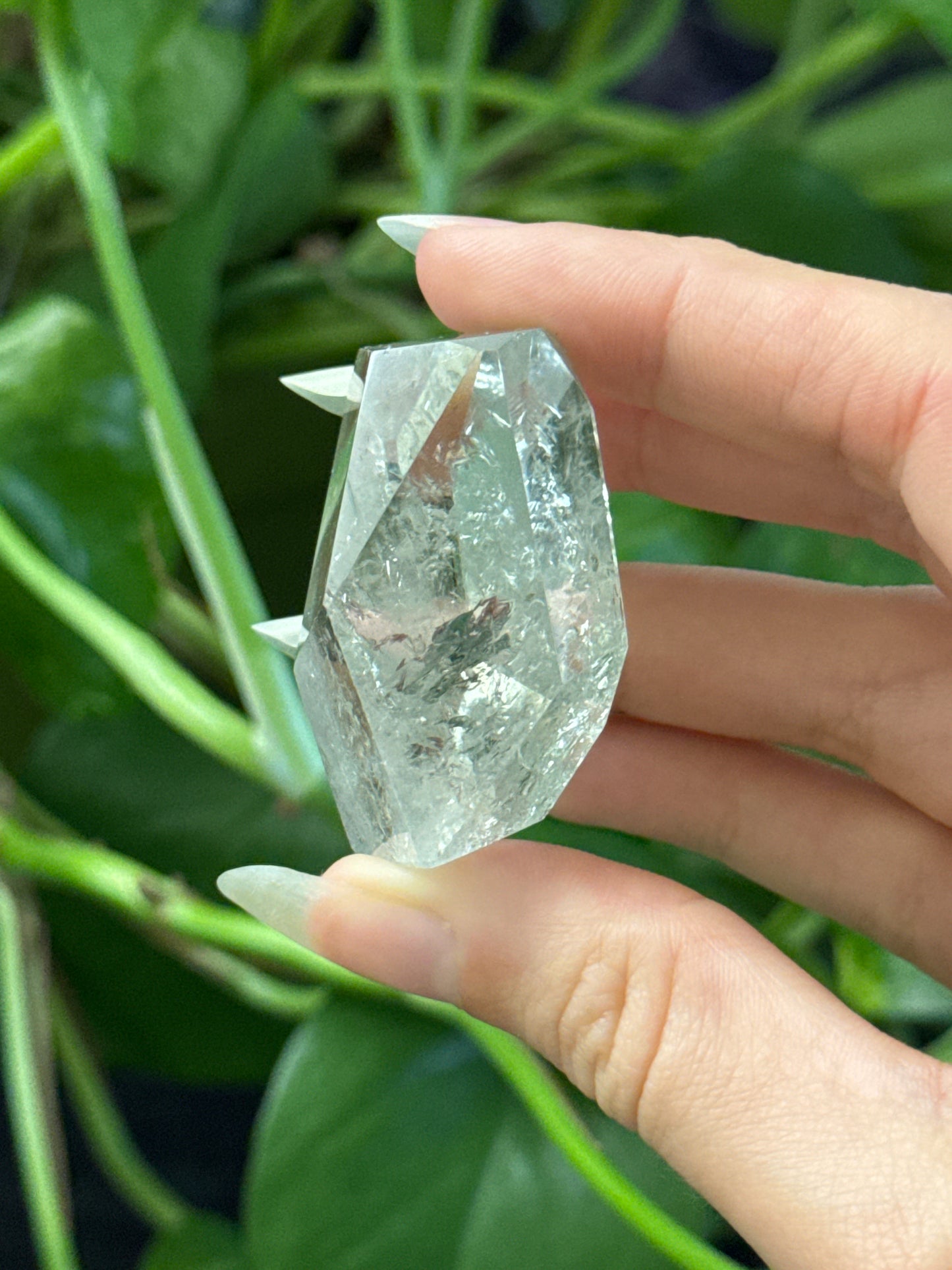 Prasiolite, Green Amethyst Freeform D