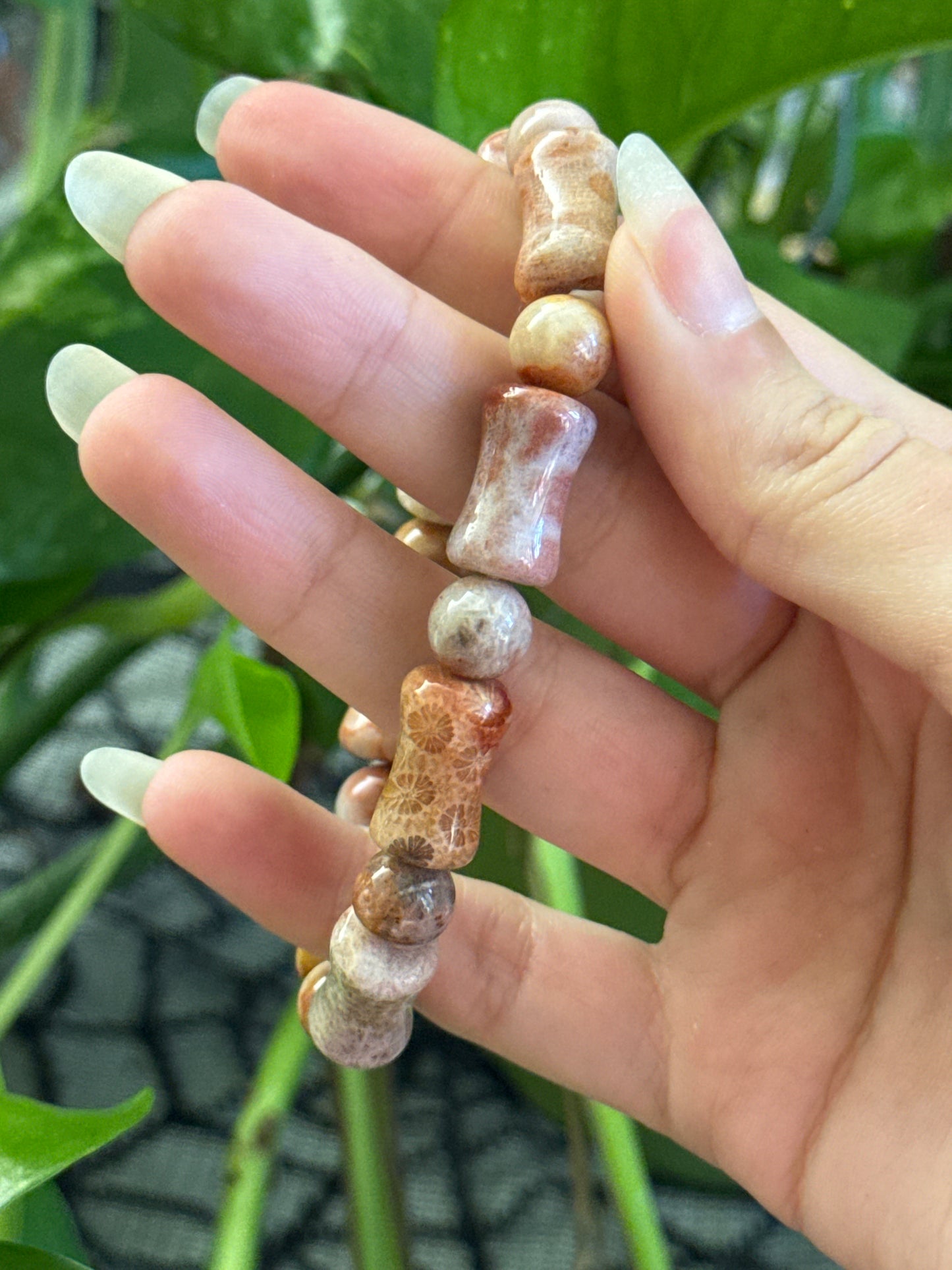 Fossilized Coral Bracelet