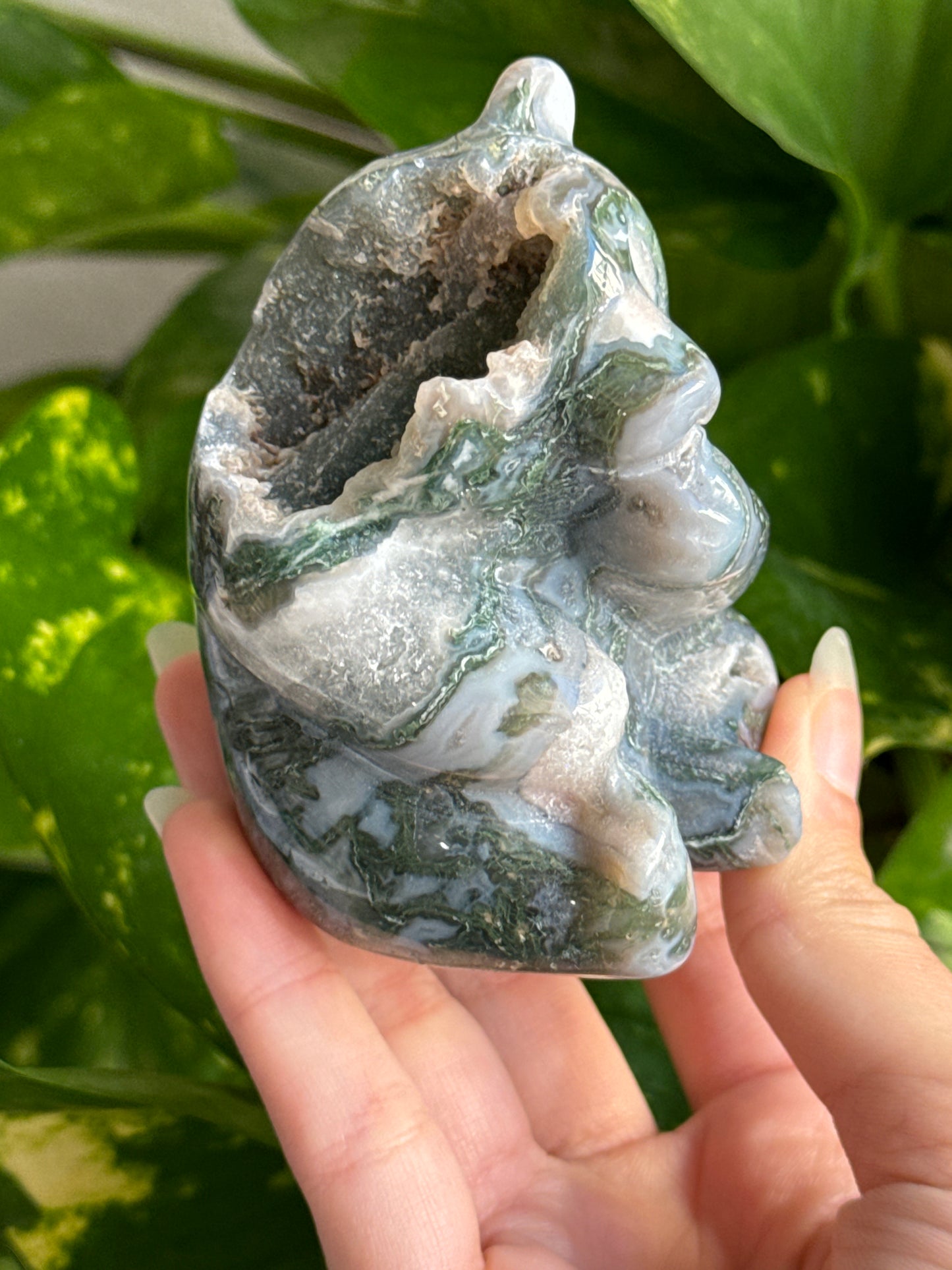 Druzy Moss Agate Panda