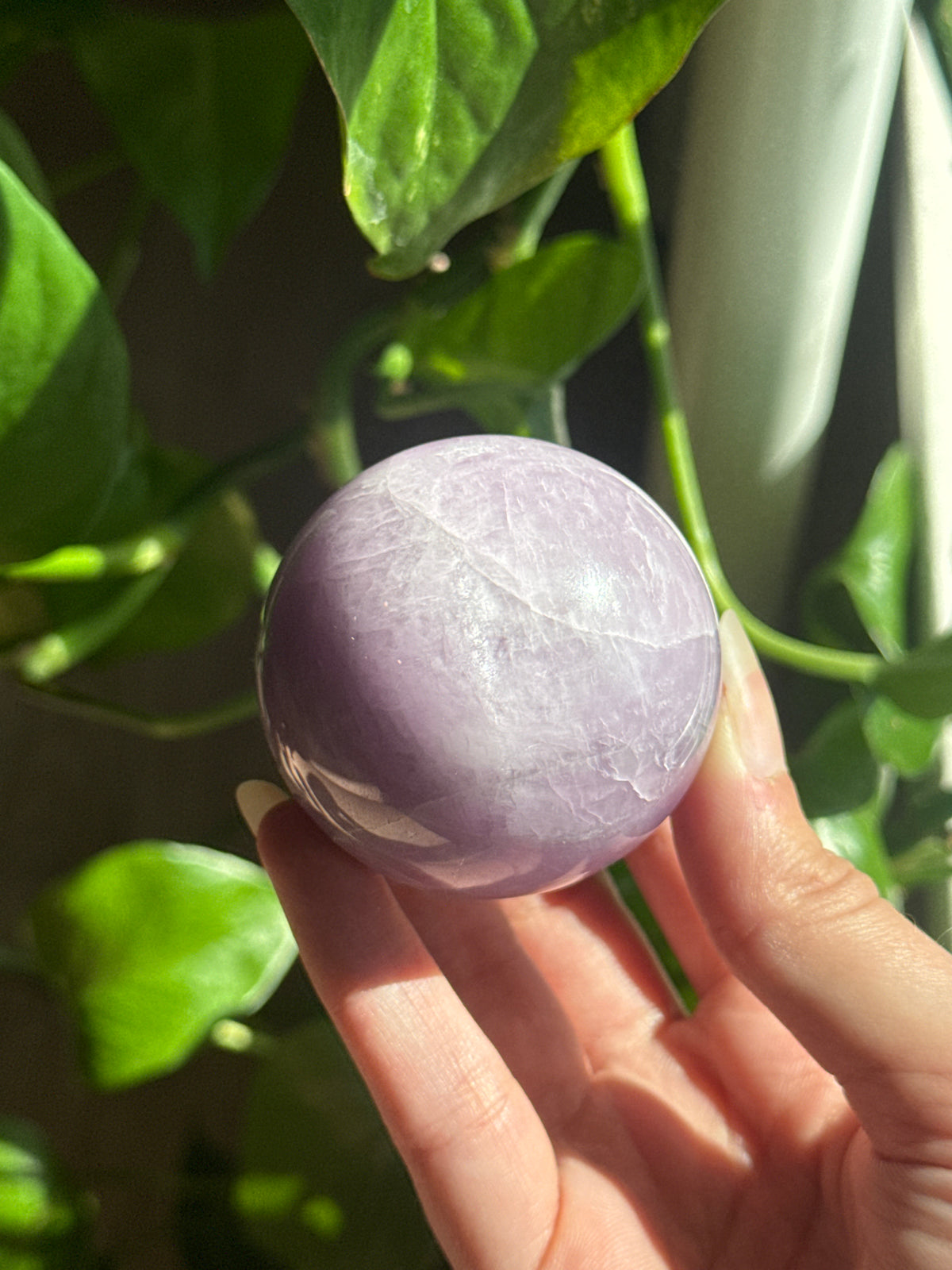 Kunzite Sphere with Cats Eye Sheen B