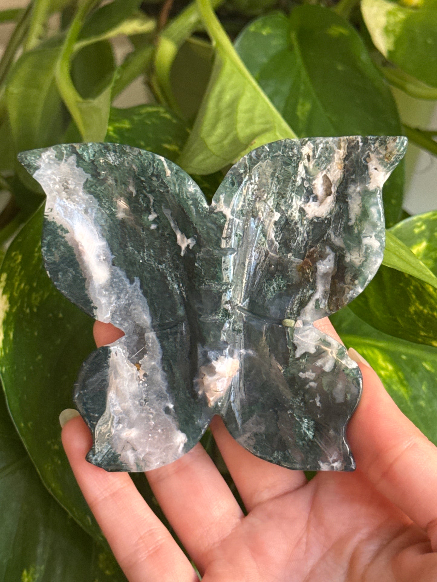 Moss Agate Butterfly Bowl