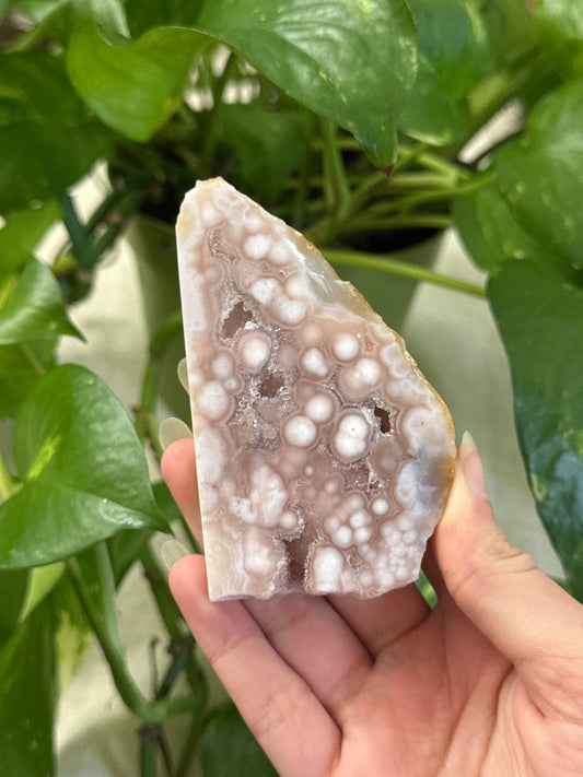 Bubbly Flower Agate and Pink Amethyst Slab