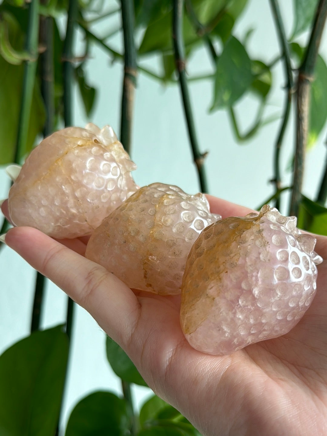 Rose Quartz and Golden Healer Strawberries