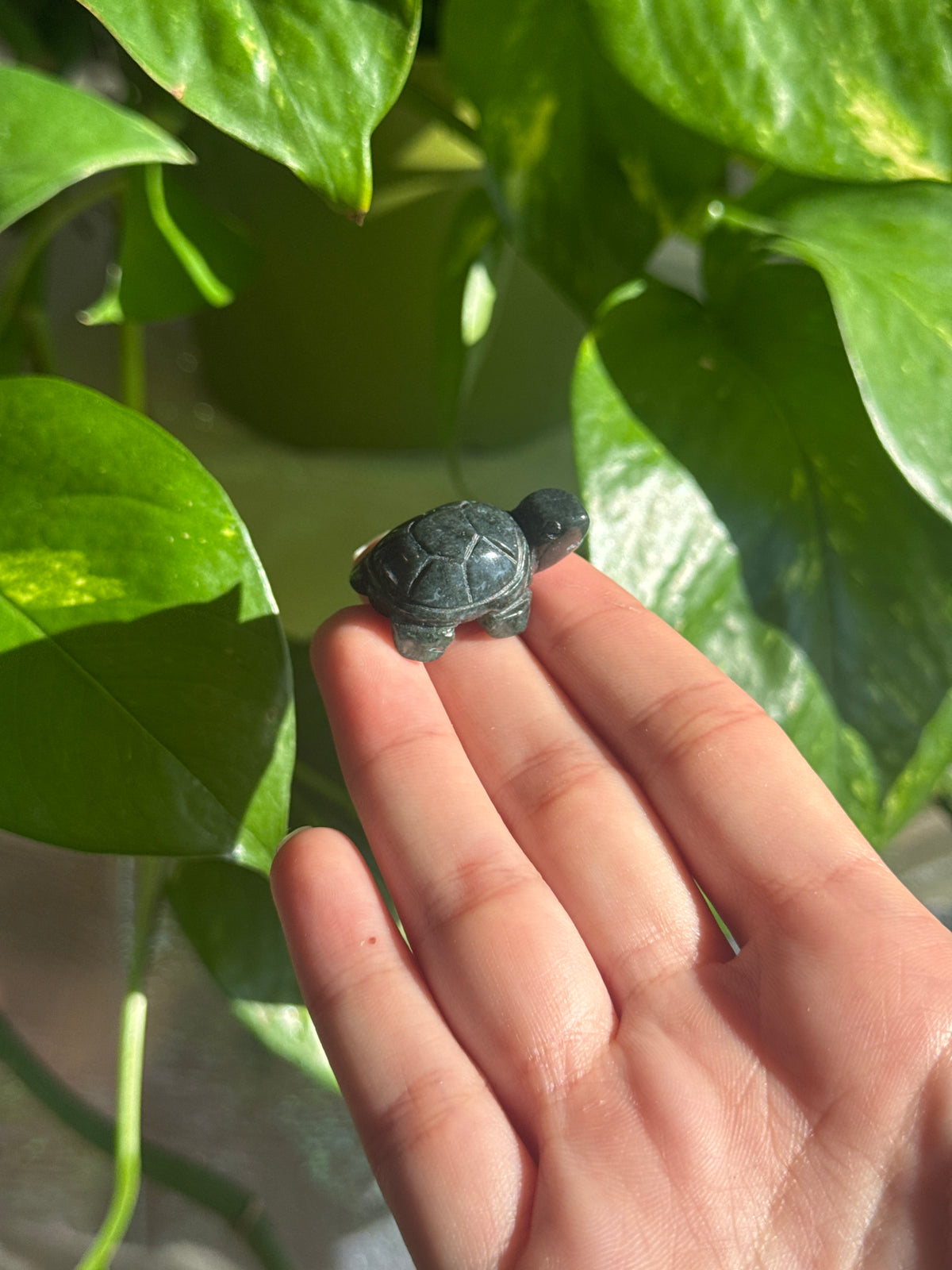 Dark Moss Agate Turtle