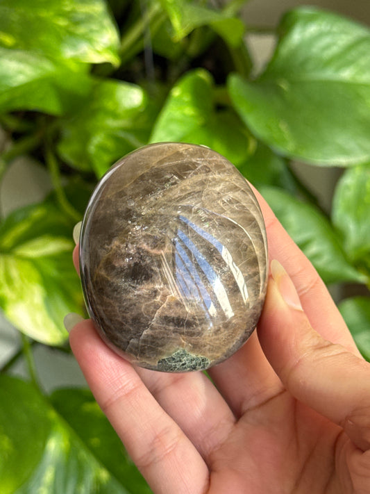 Chubby Black Moonstone Palmstone (Flashy)