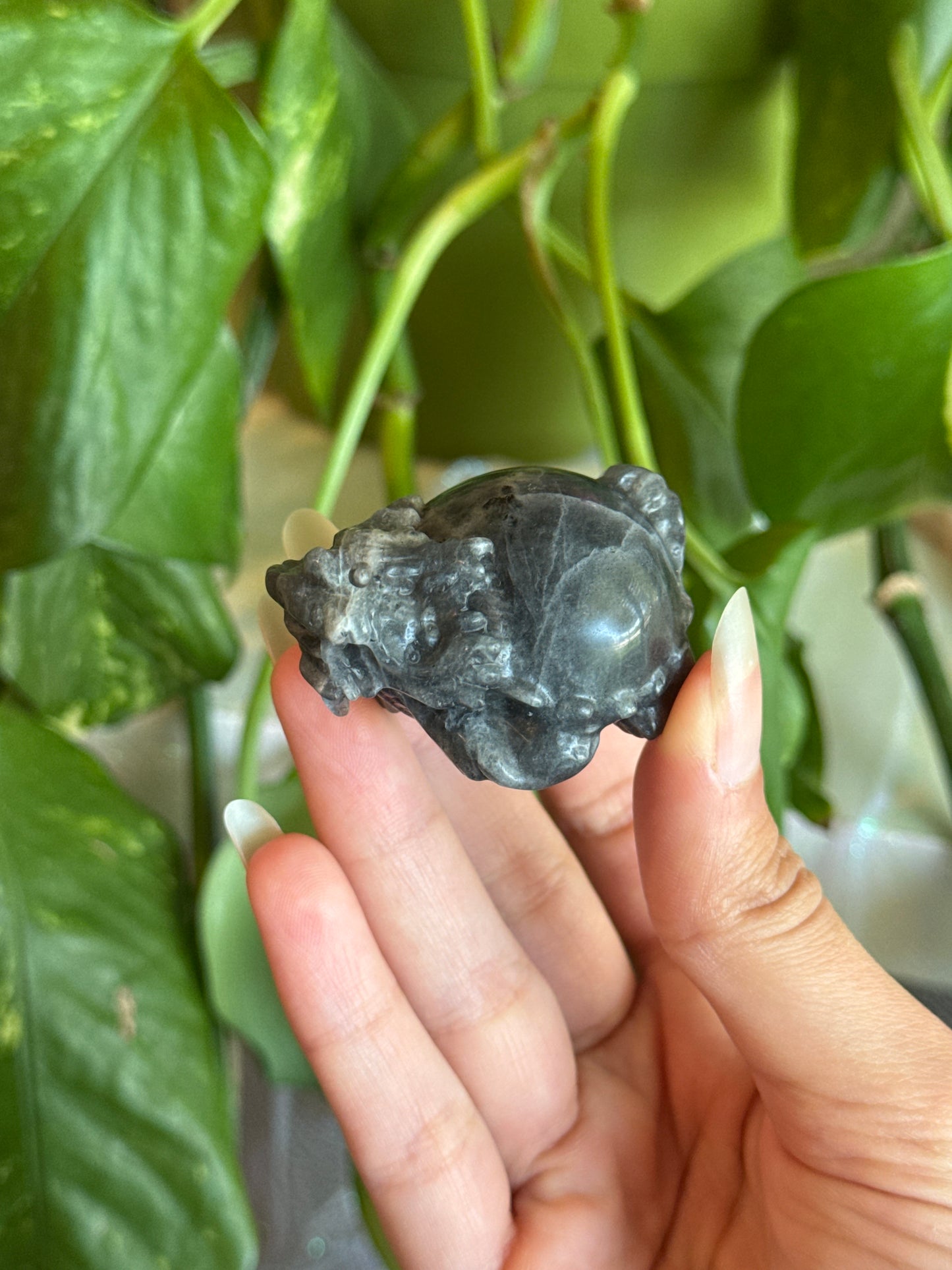 Small Money Dragon Labradorite Deep Cobalt Blue Flash for Attracting Wealth & Abundance
