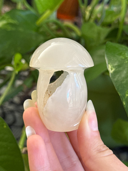 Druzy Cave Agate Mushroom A