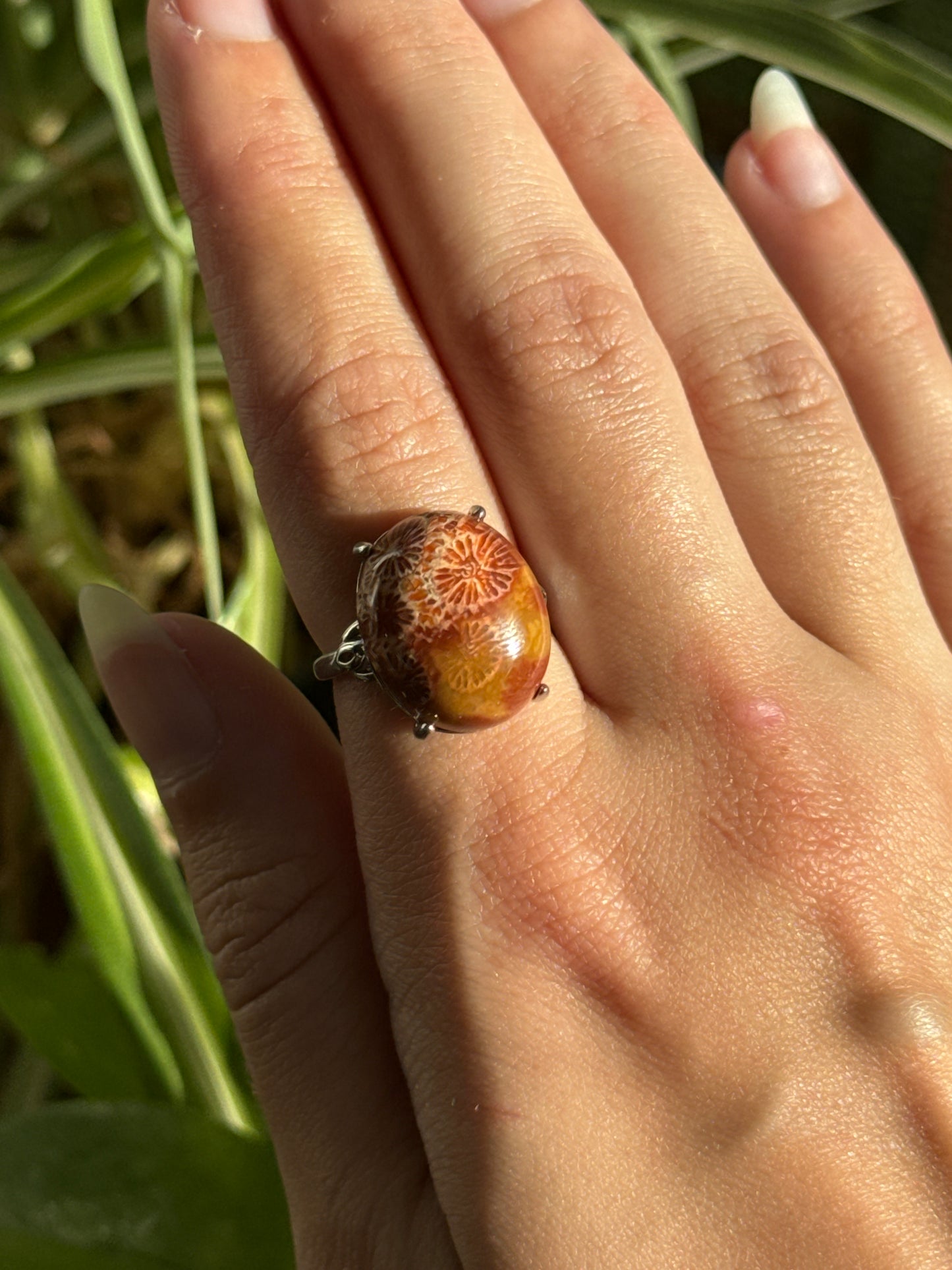 Fossilized Coral Adjustable Ring | You Pick