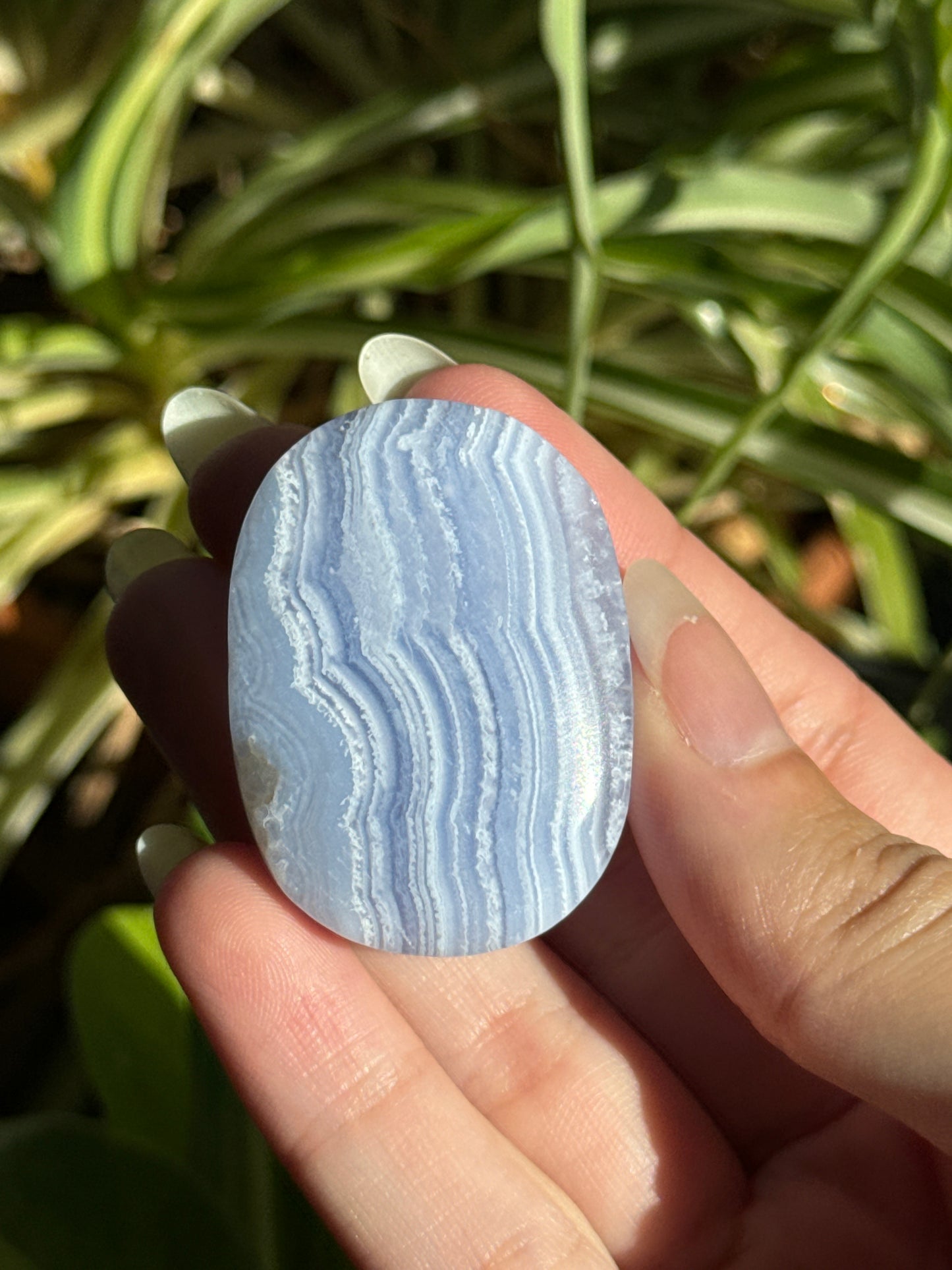 Blue Lace Agate Palmstone | You Pick