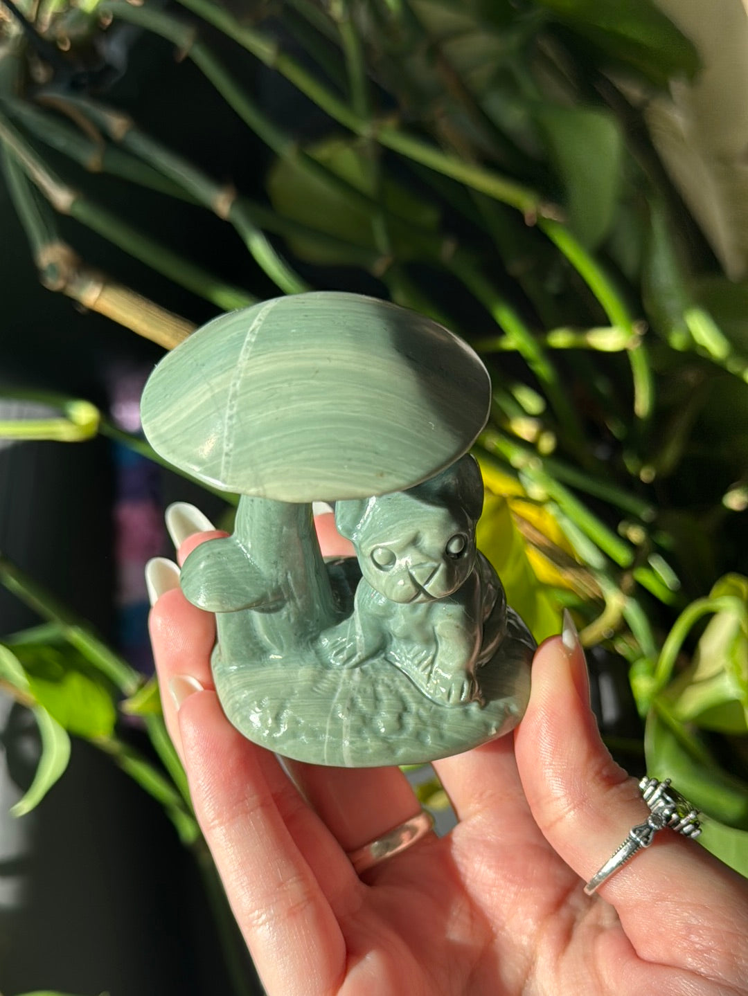 Puppy Jade Mushroom