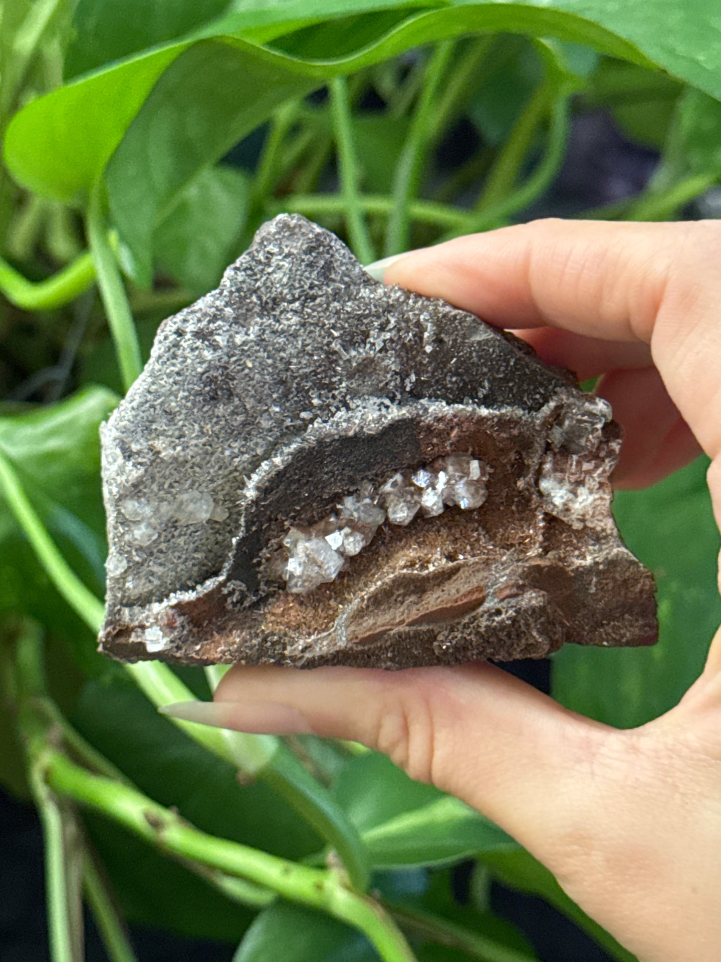 Iron Needle Quartz Specimen
