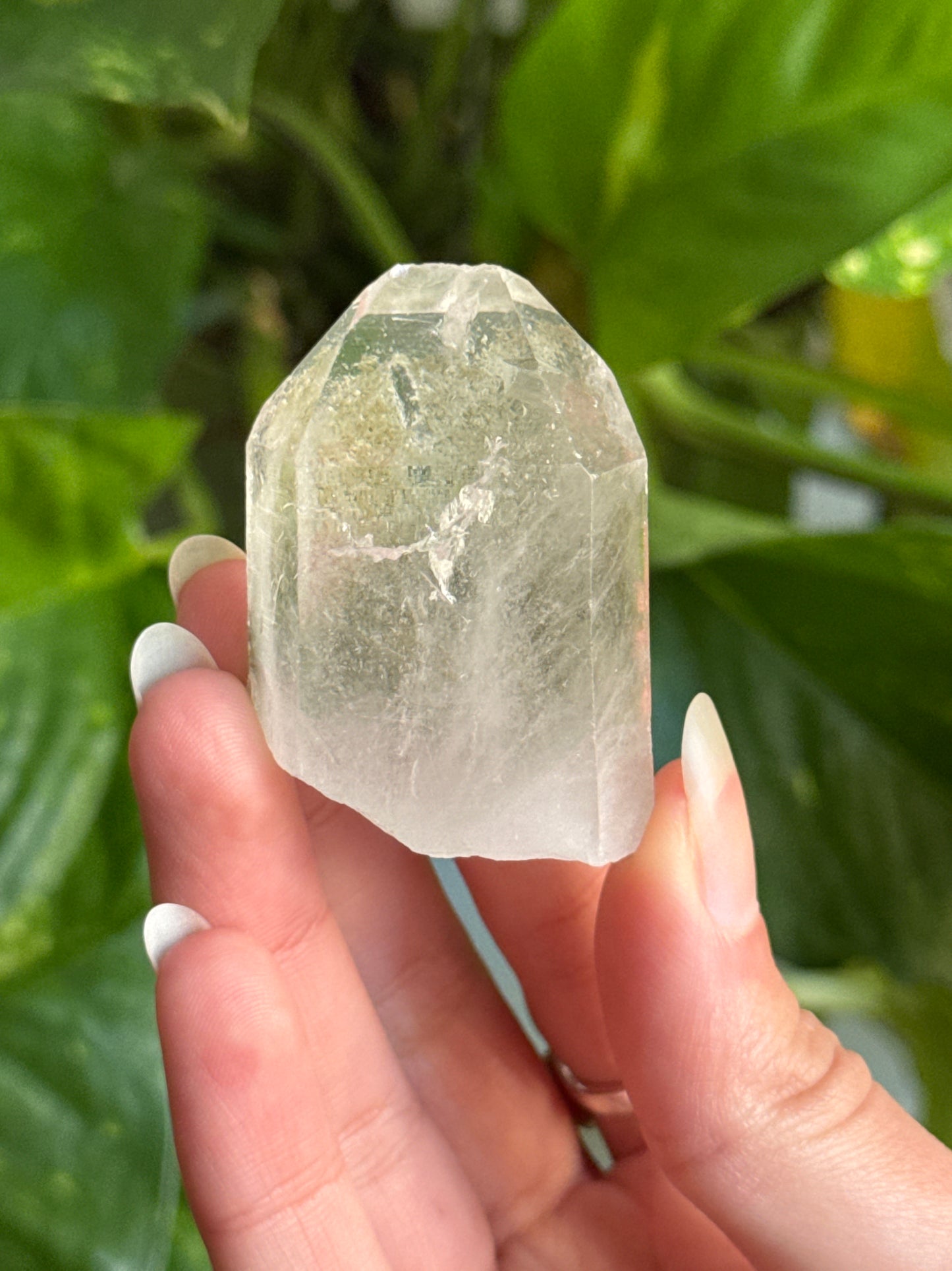 Green Garden Quartz Point