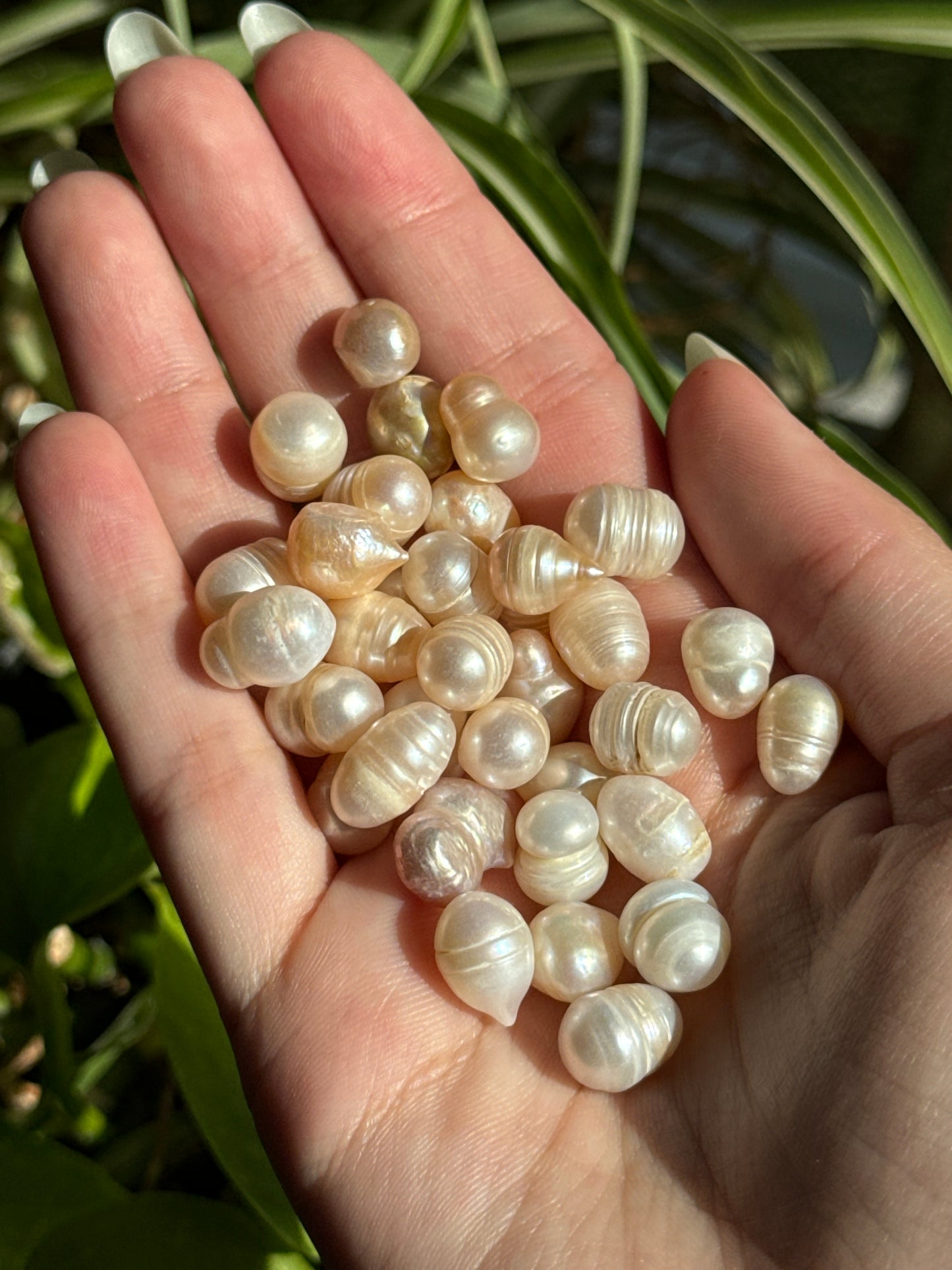 Fresh Water Pearl