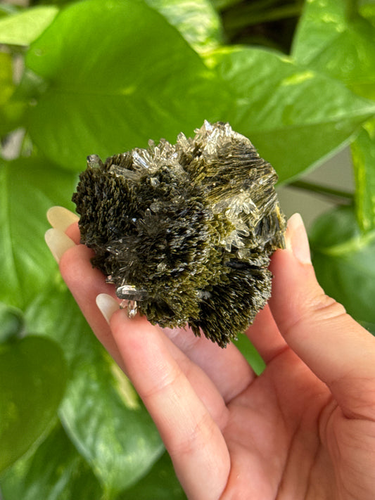 Collectors Grade Forest Epidote with Quartz Specimen C
