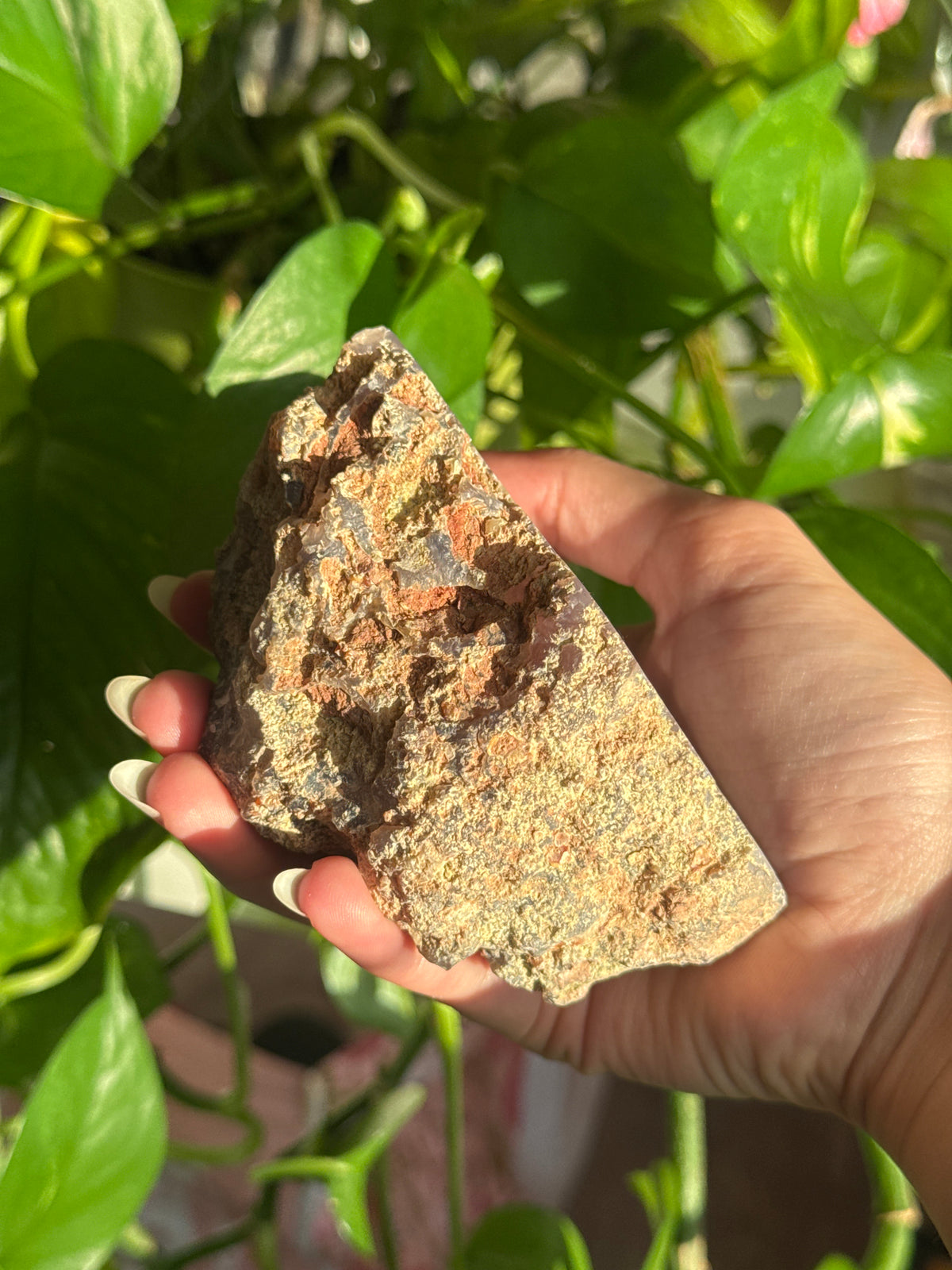 Laguna Agate Geode Specimen