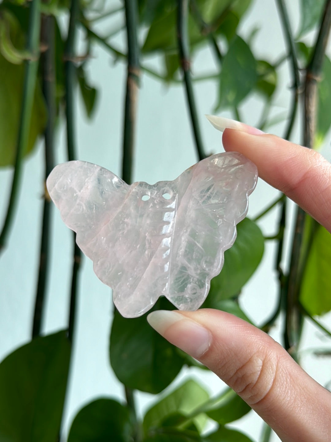 Rose Quartz Butterfly