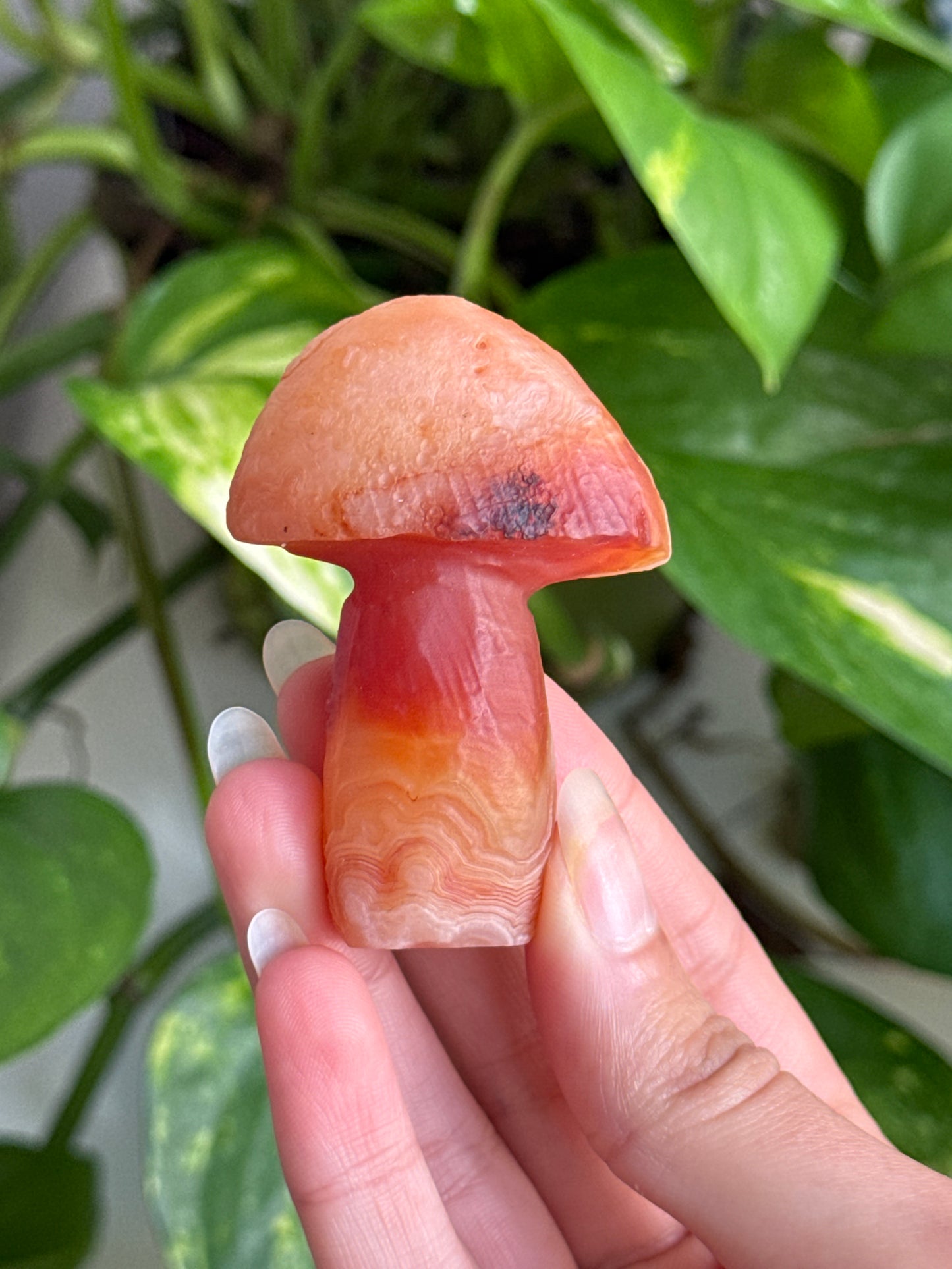 Gobi Agate Mushroom B