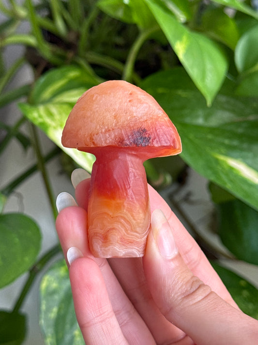 Gobi Agate Mushroom B