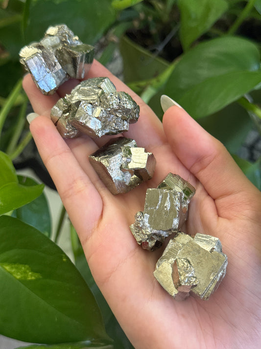 Cubic Pyrite Specimen | You Pick