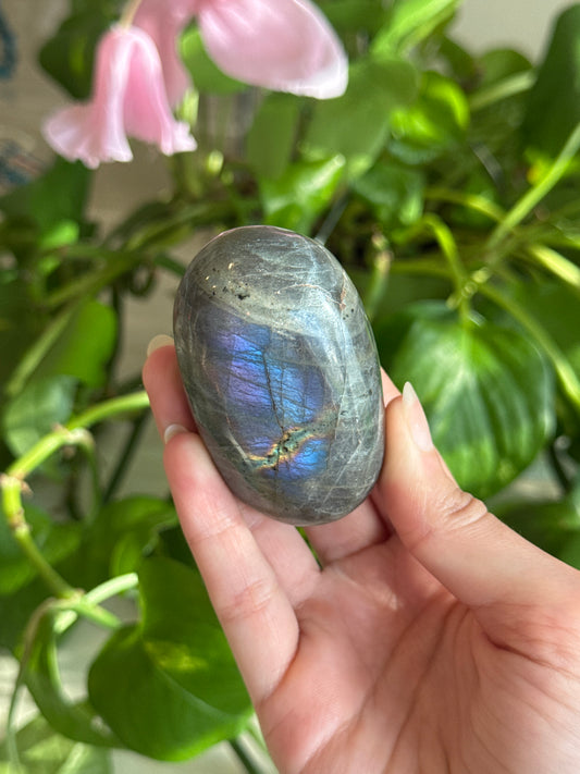 Labradorite Chubby Palm Stone B
