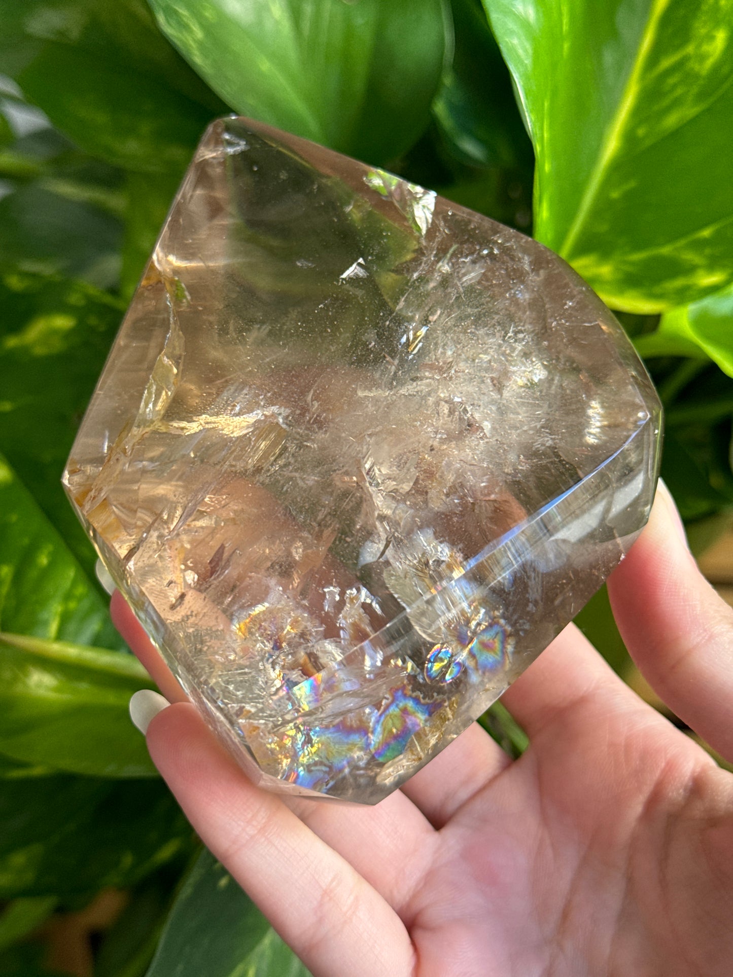 Large Smoky Quartz Freeform with Rainbows