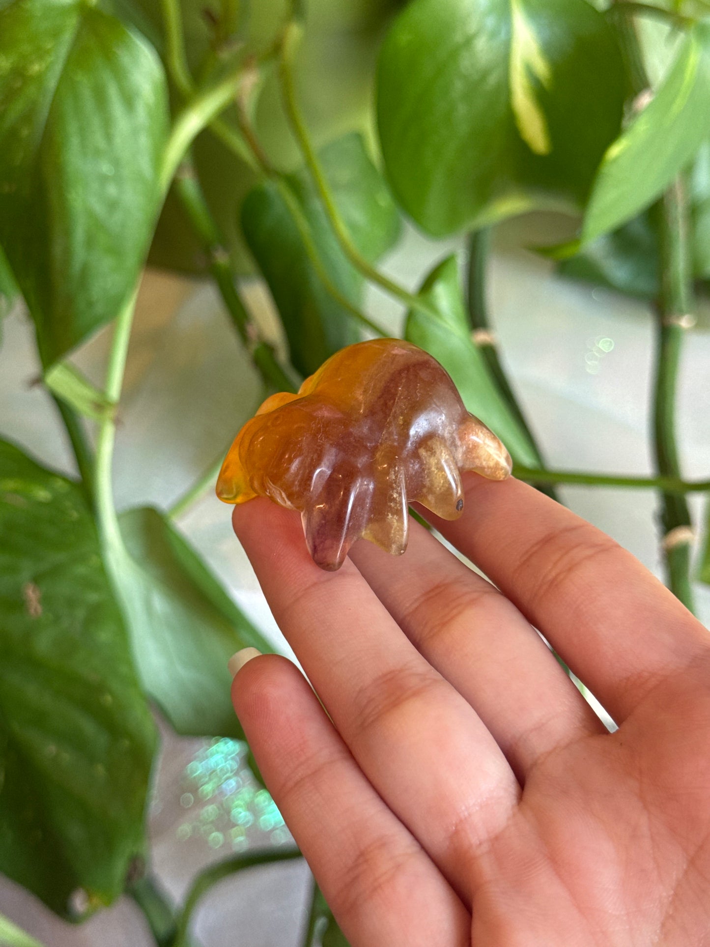 Yellow & Magenta Fluorite Chubby Tarantula Spider Carving