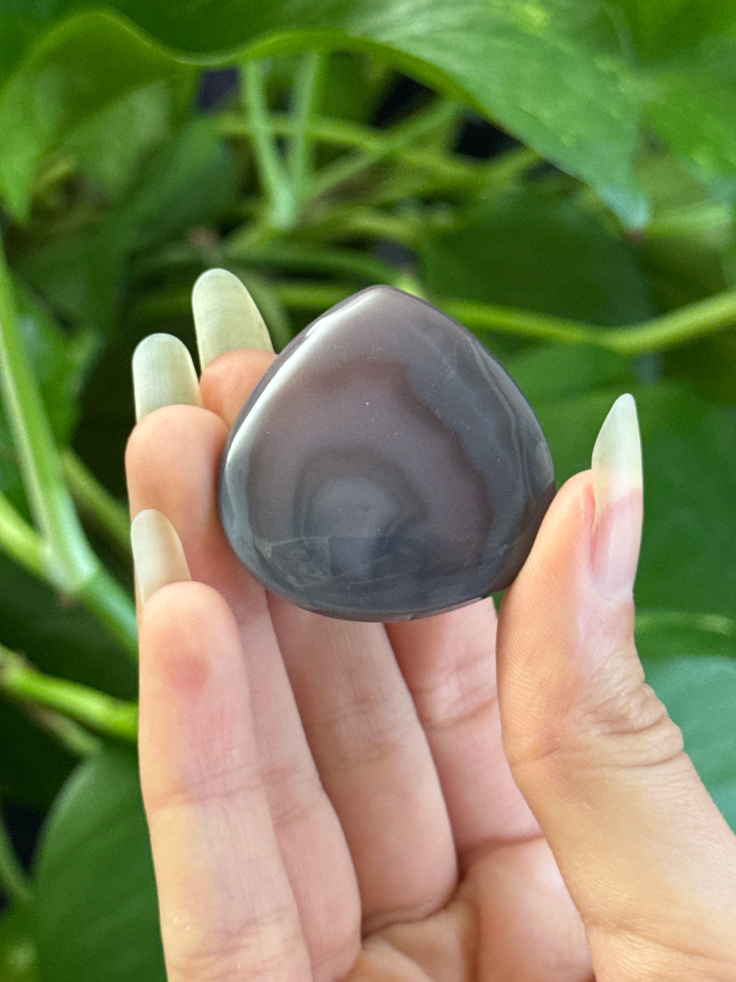 Botswana Agate Chubby Teardrop