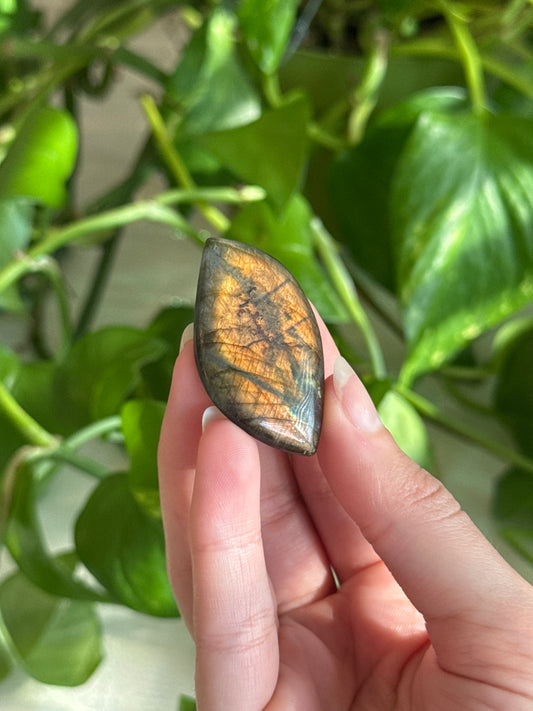 Labradorite Flat Stone E