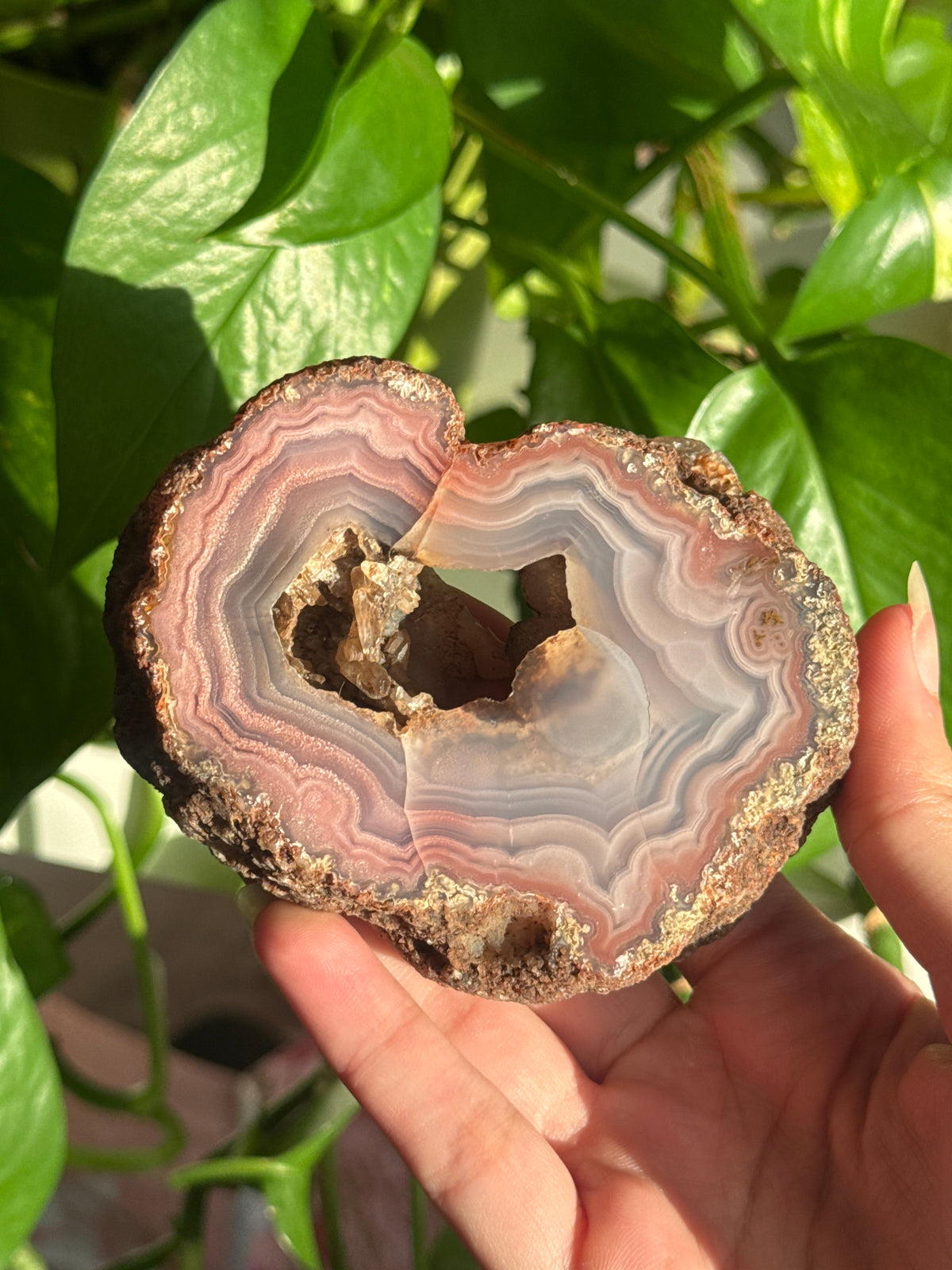 Laguna Agate Druzy Portal Specimen