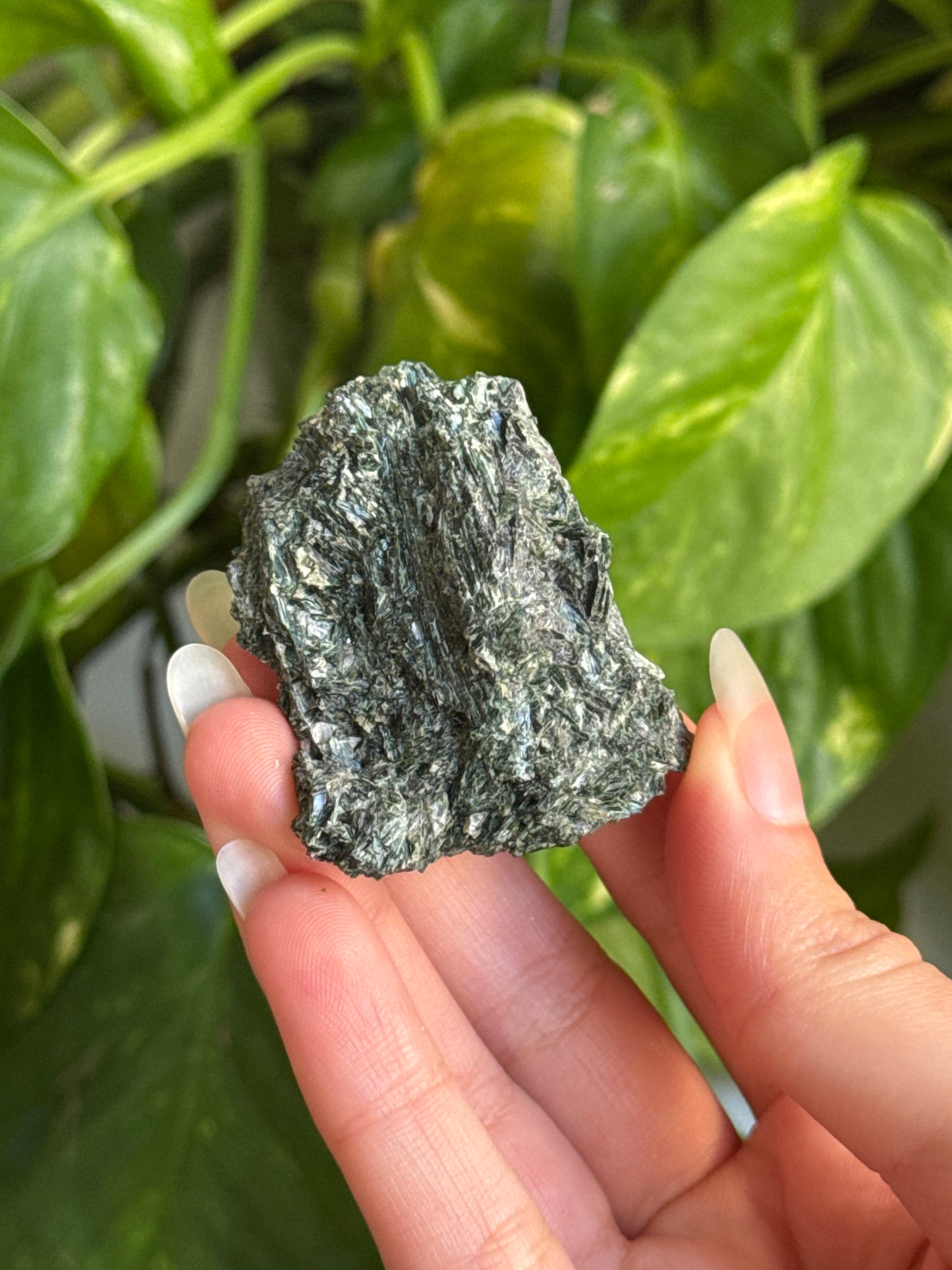 Exposed Actinolite on Quartz Specimen C