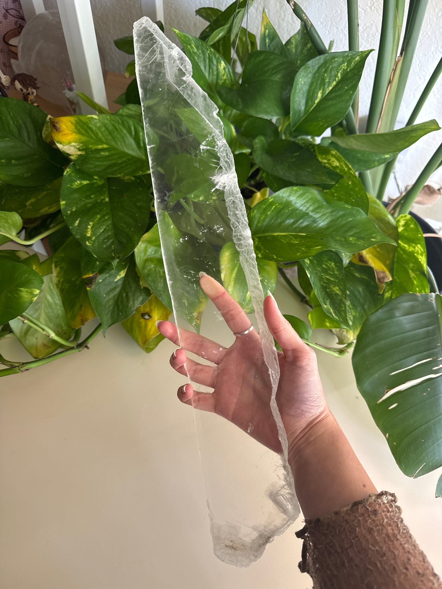 XL True Selenite “Ice Shard”