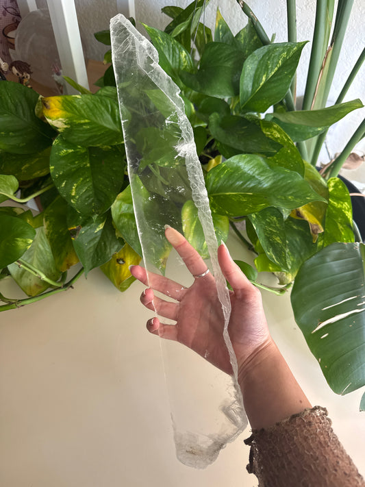 XL True Selenite “Ice Shard”