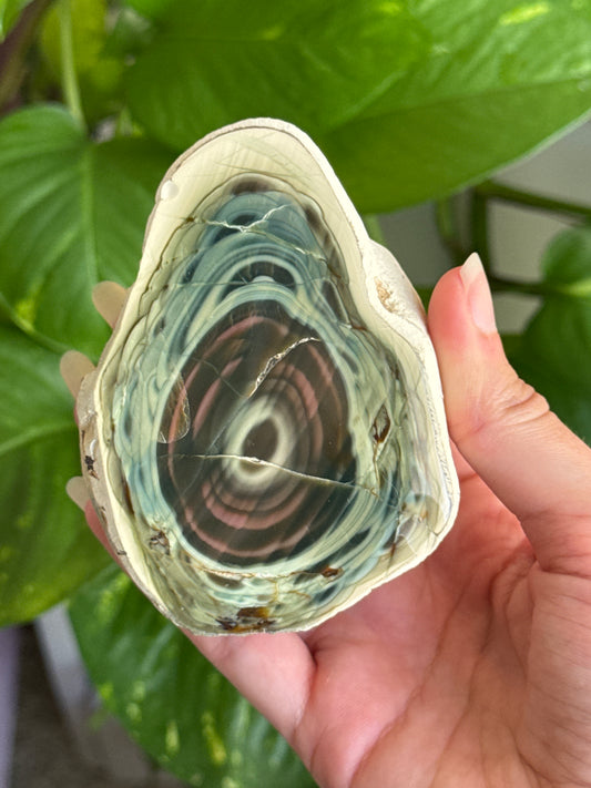 Large Statement Imperial Jasper Half Geode C