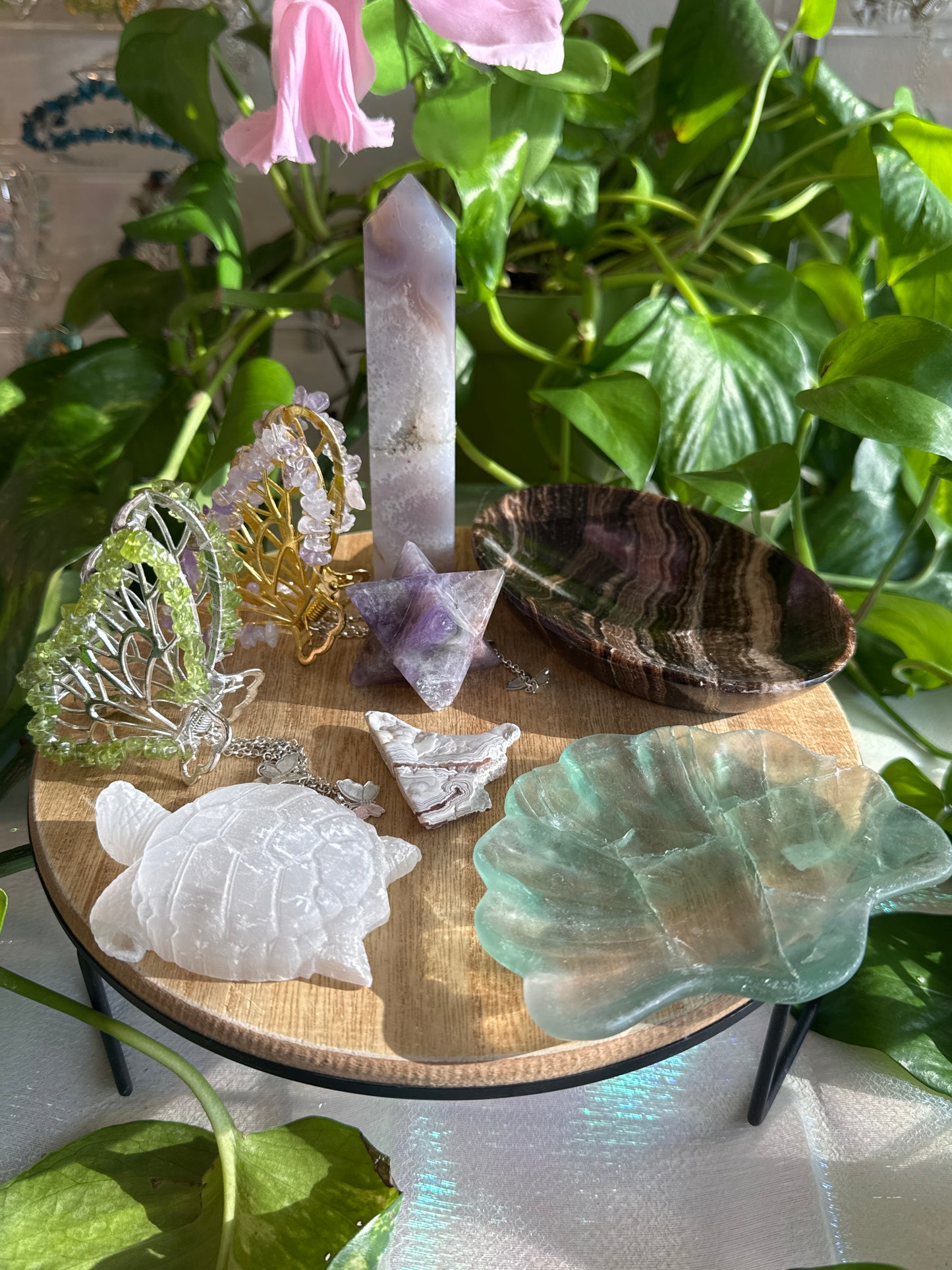 Kyleighrenee_comer3 listing