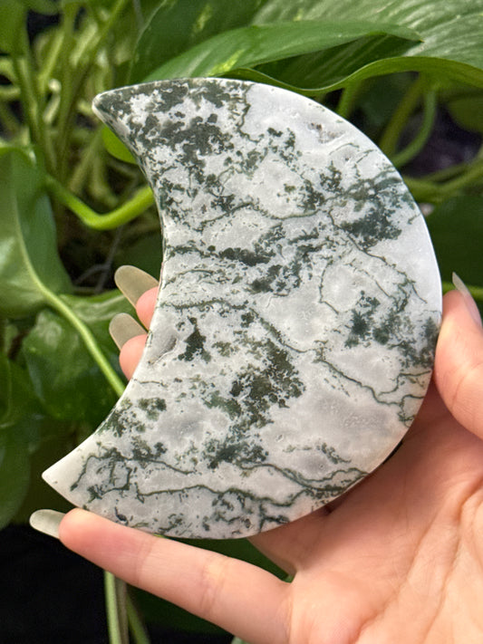 Tree Agate Crescent Moon