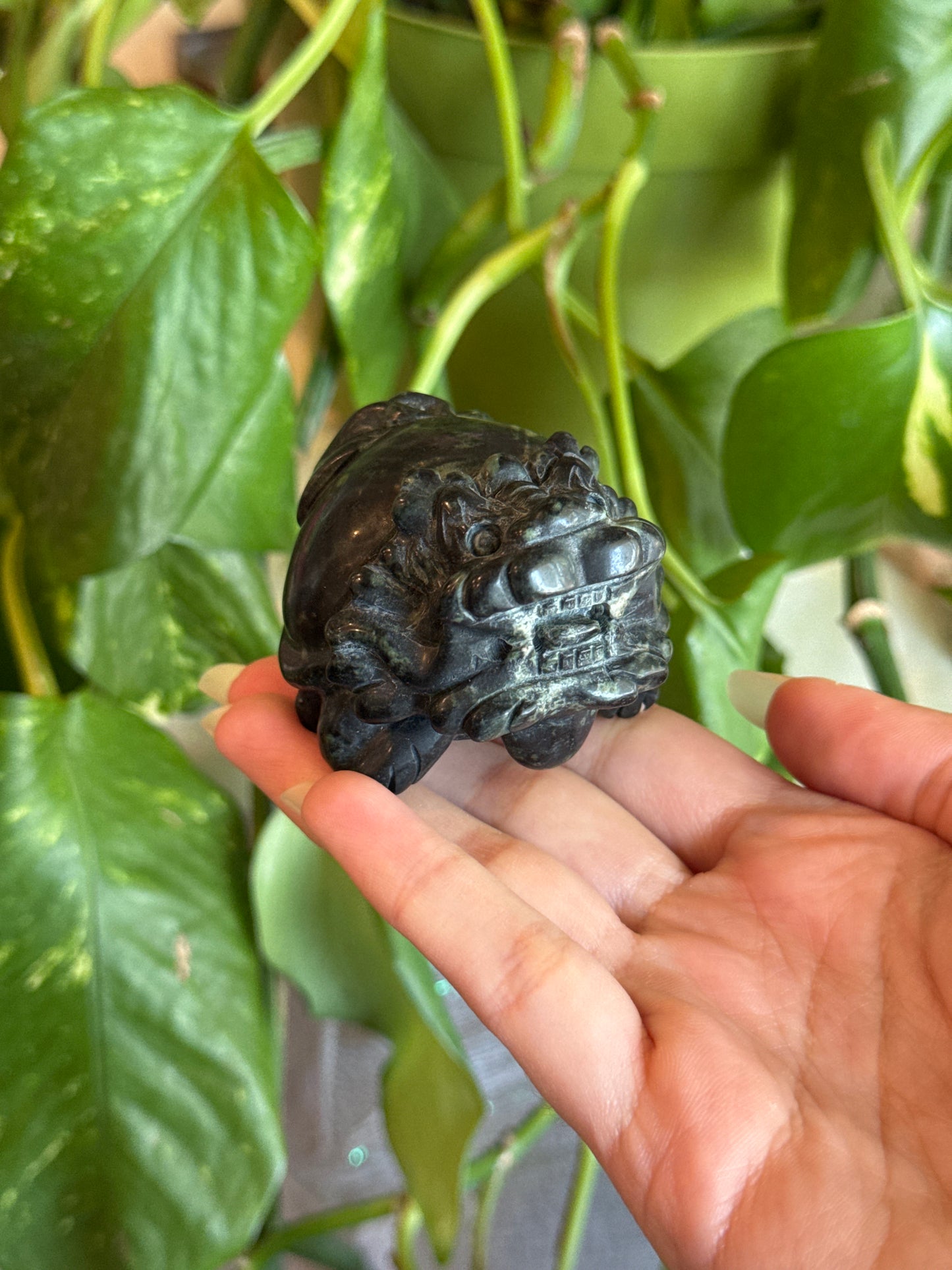 Money Dragon Kambaba Jasper Carving for Attracting Wealth & Abundance