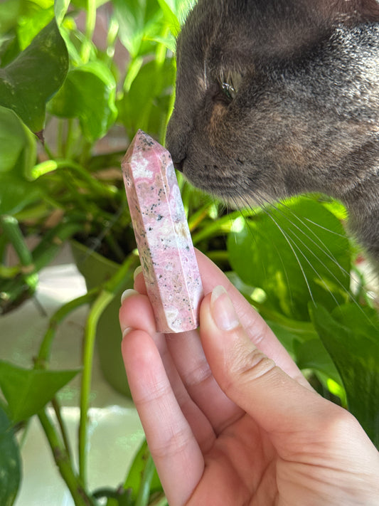 Bubblegum Rhodonite Tower B