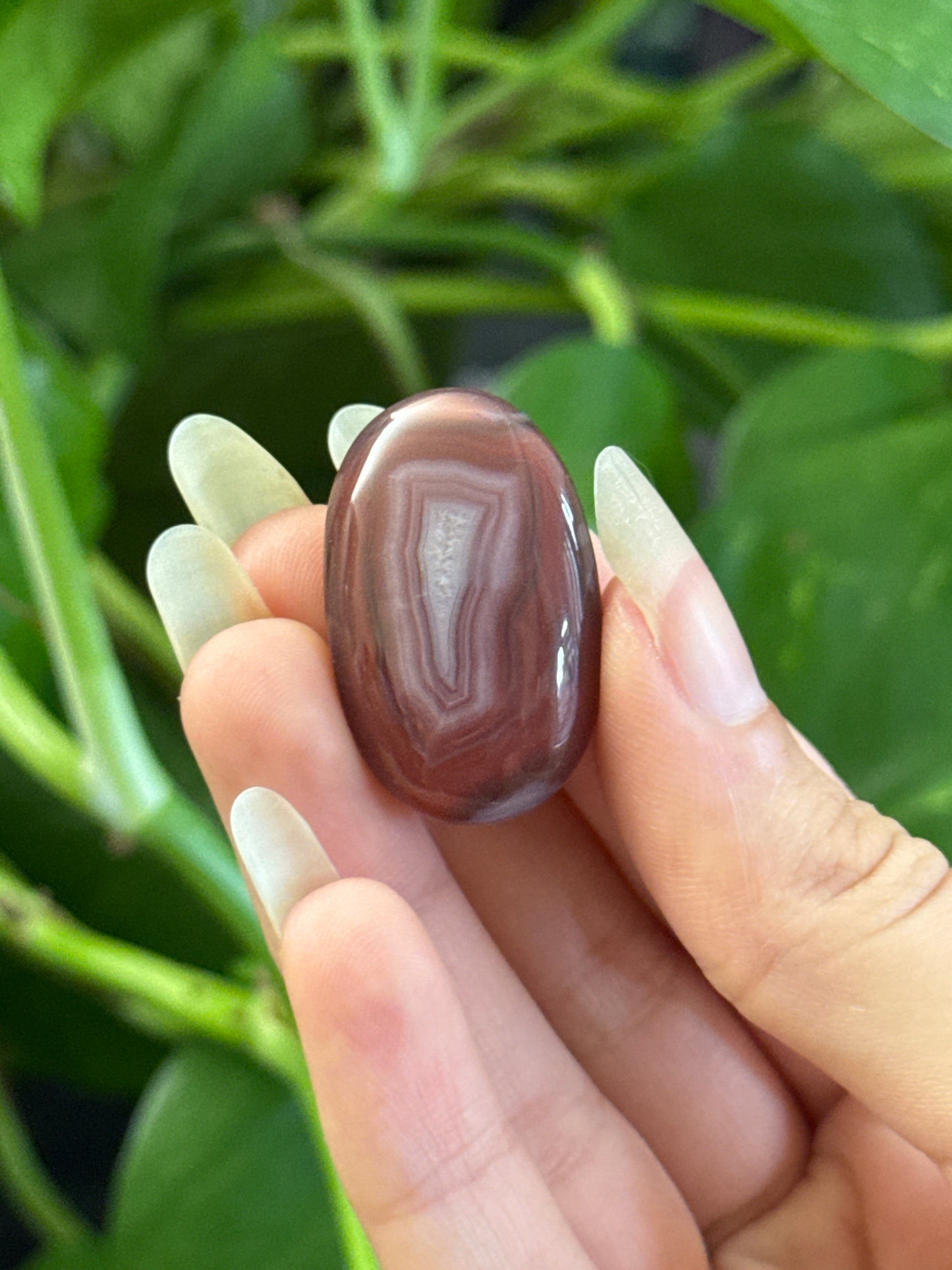 Botswana Agate Oval With Parallax