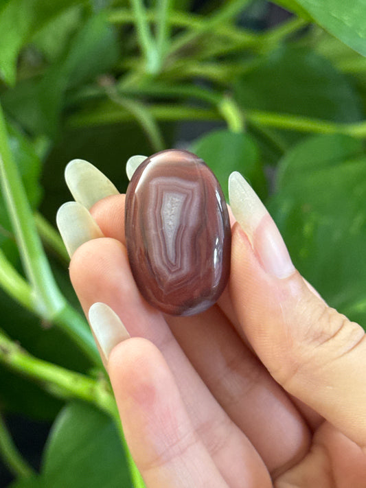 Botswana Agate Oval With Parallax