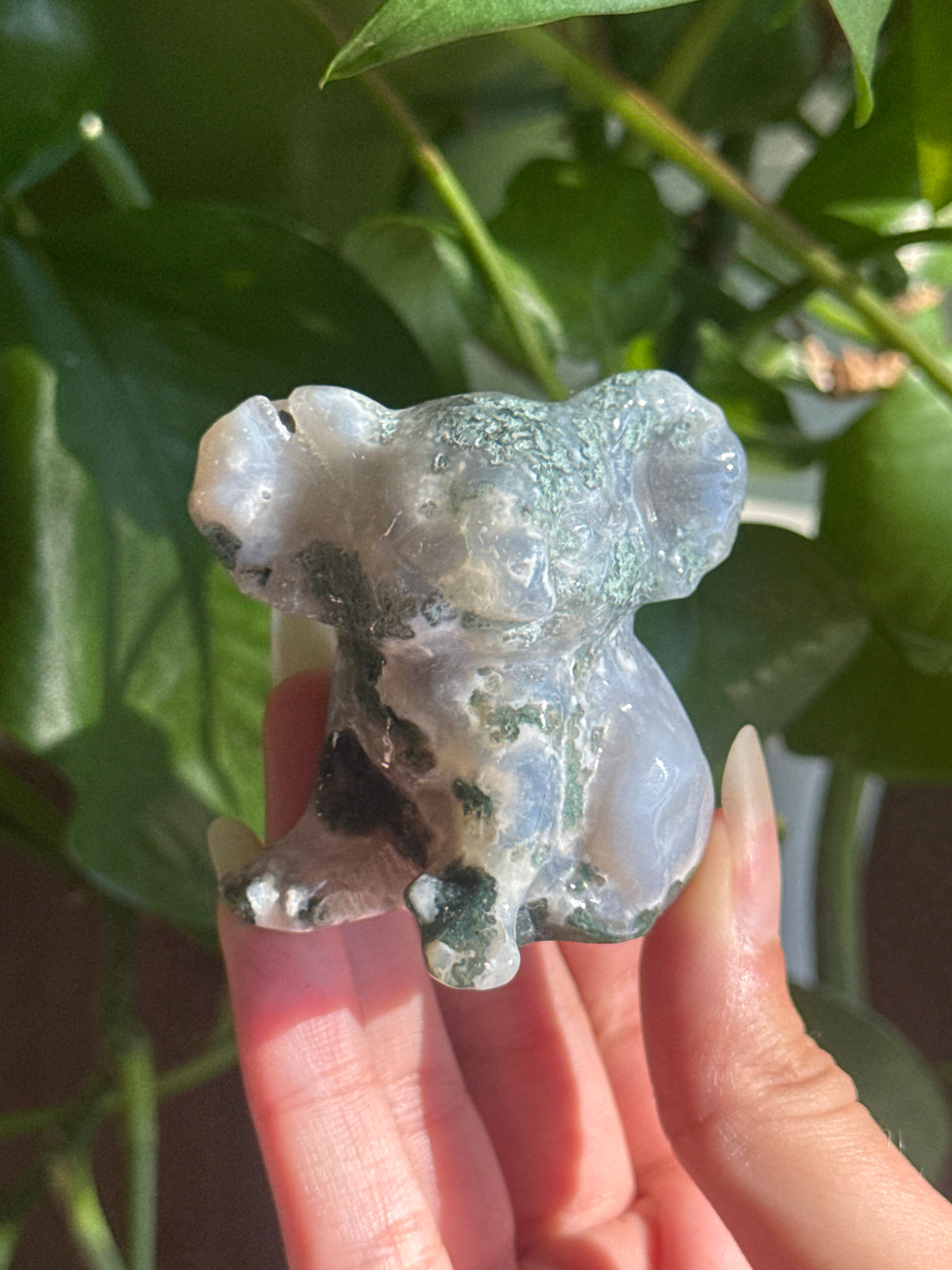 Moss Agate Koala