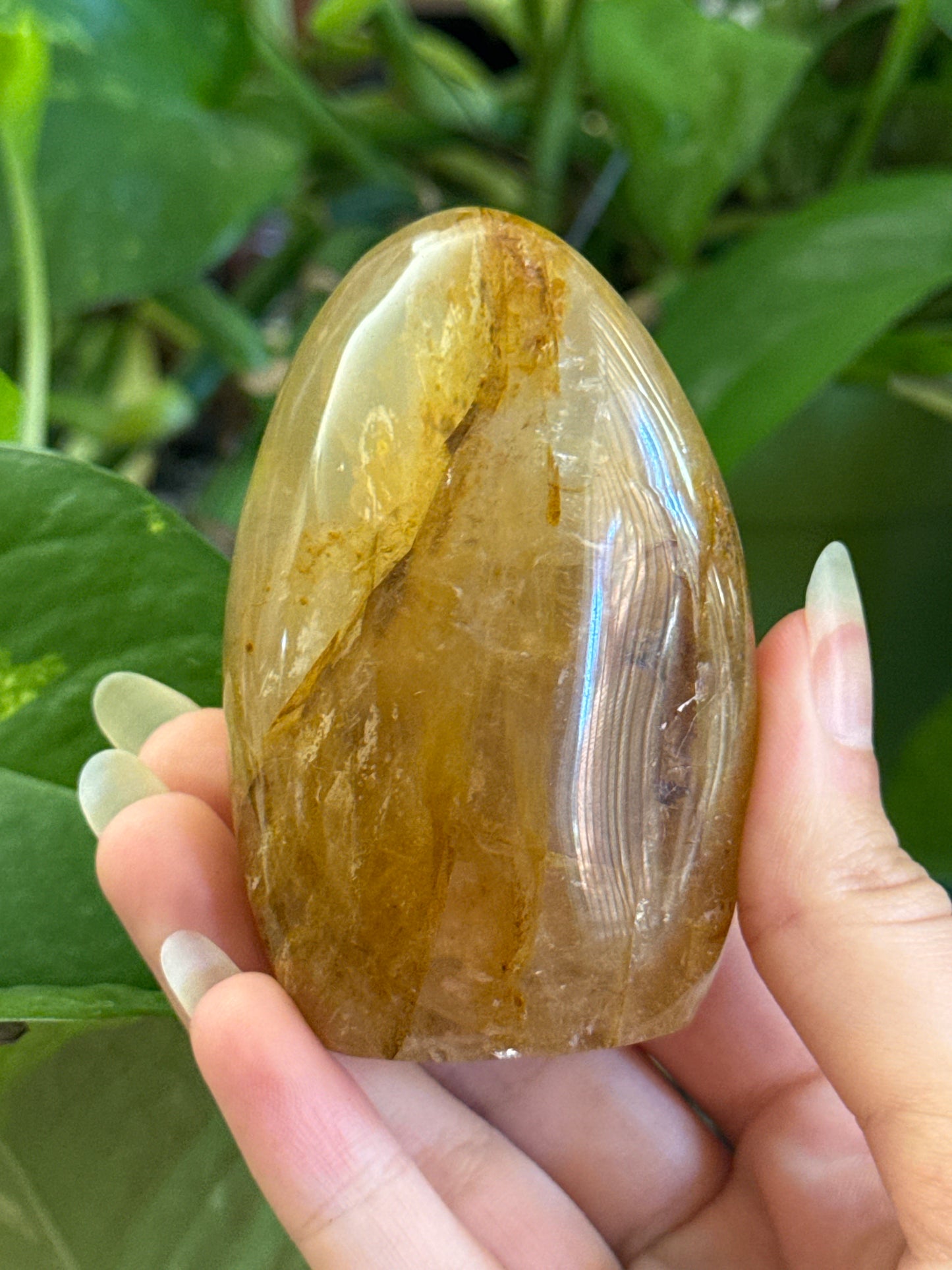 Star Flash Golden Healer Freeform B *see vid for asterism*