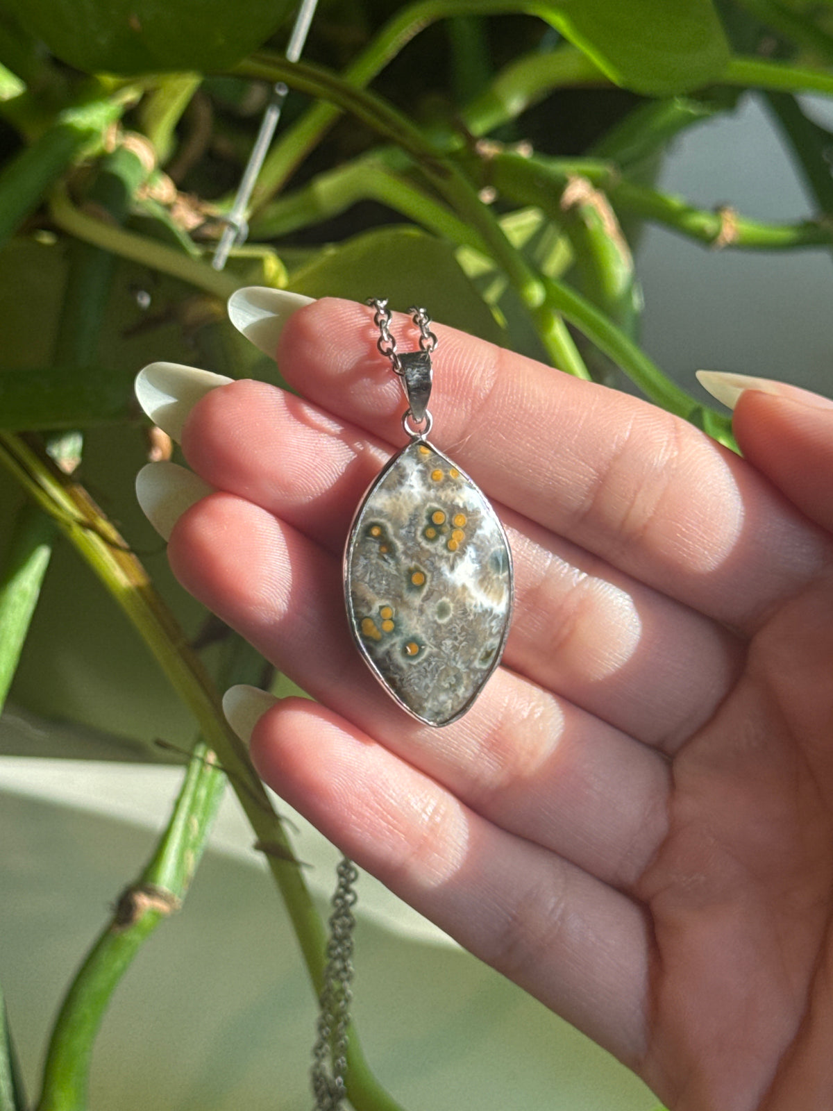 Orbicular Sea Jasper Moody Necklace